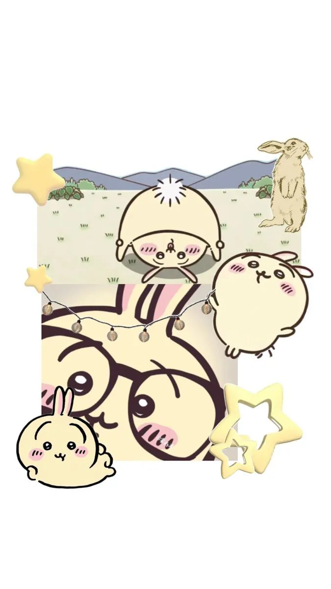 ✨✨✨