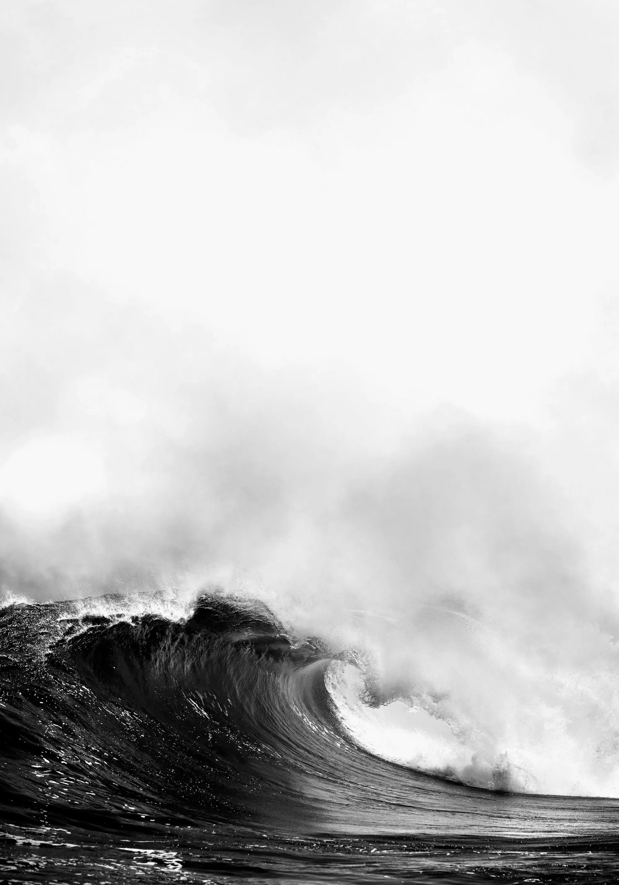 Wave, Print 8 x 12 in