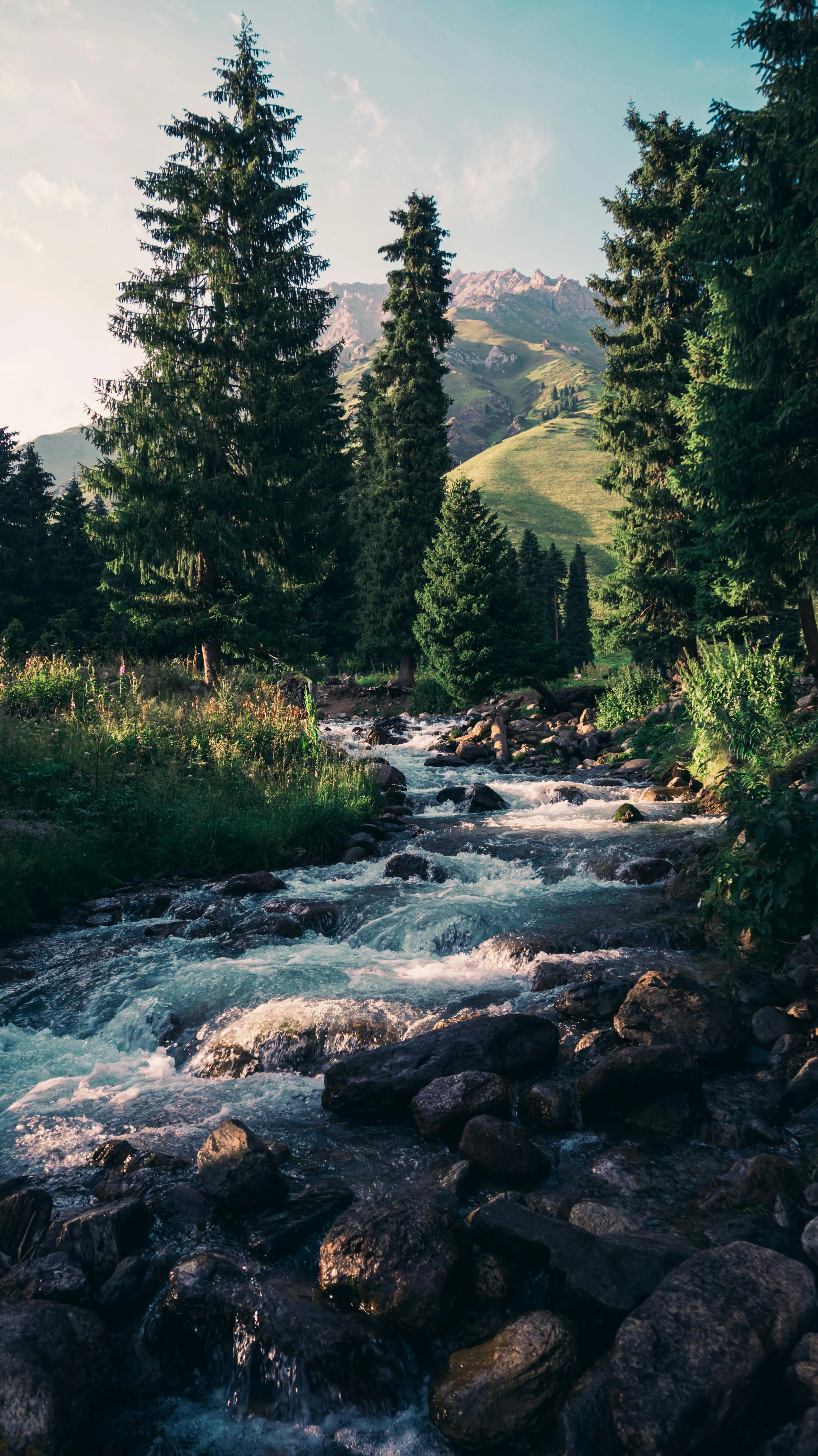 Live Nature Photo, Download The BEST Free Live Nature & HD Image