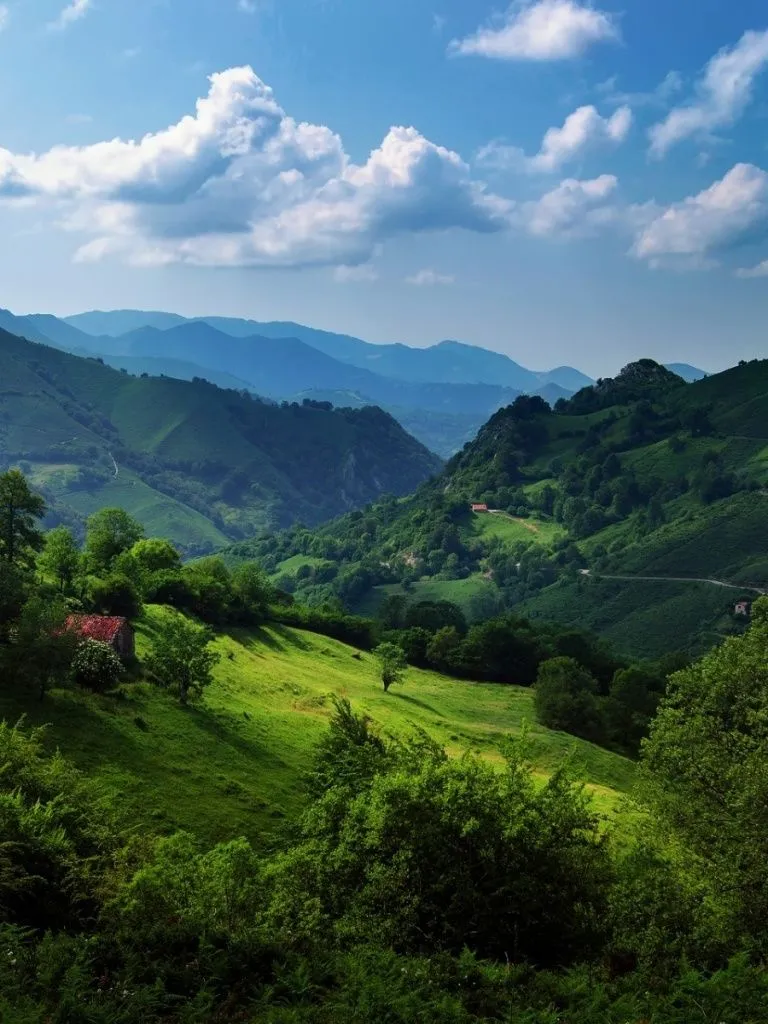 Nature 4K UHD Wallpaper for UltraHD Desktop and TV, Smartphone and Tablet Devices
