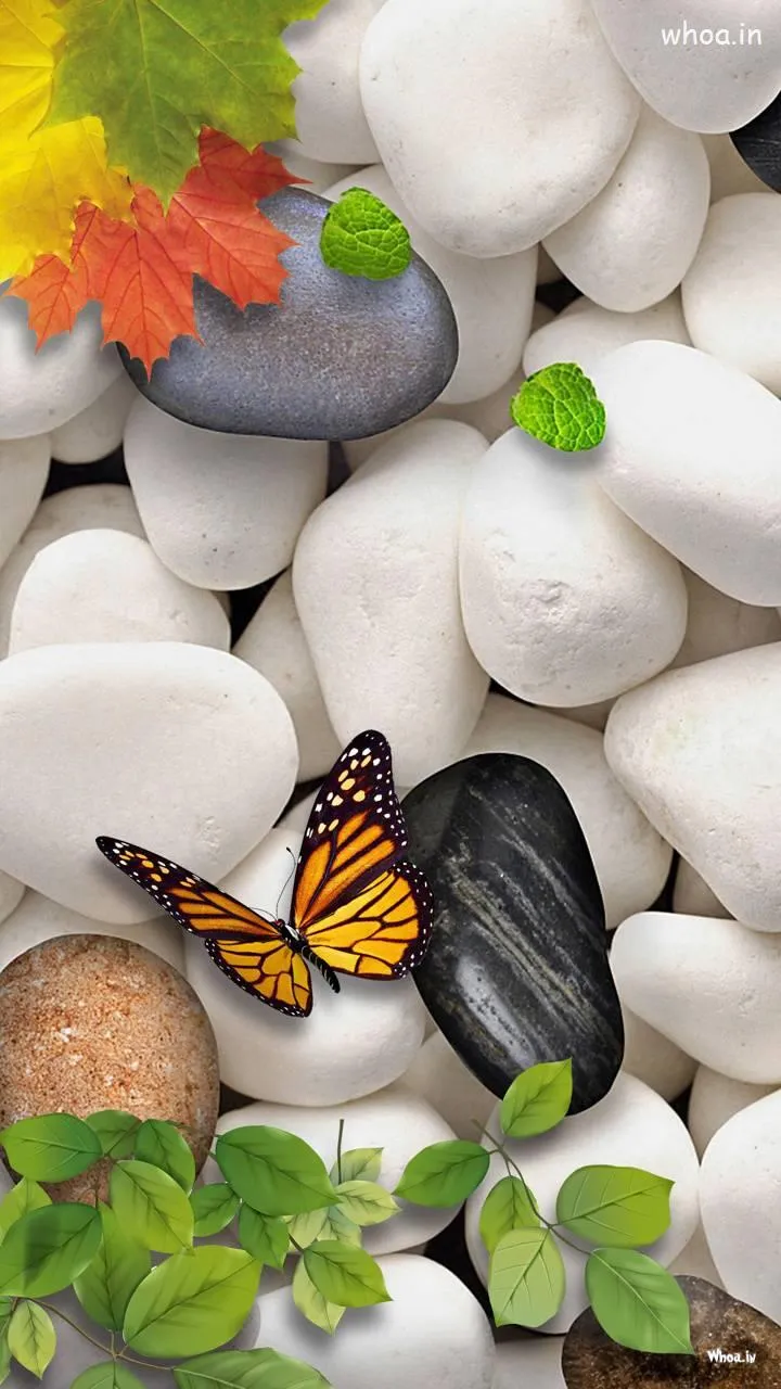 Natural Scene Image & HD Wallpaper For Mobiles Natural Image Wallpaper Mobile Wallpaper Wallpaper