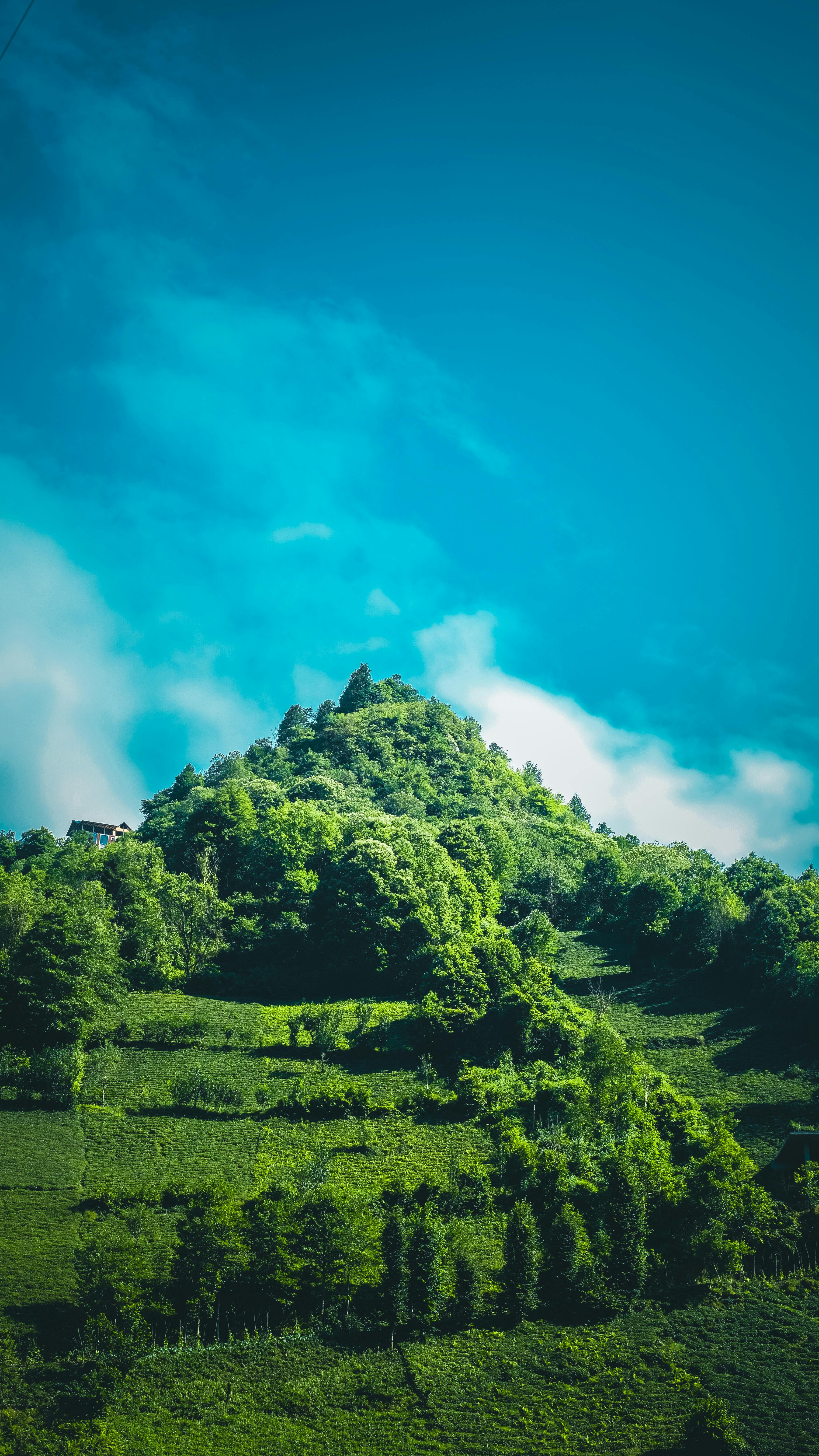 Pure Nature Photo, Download The BEST Free Pure Nature & HD Image