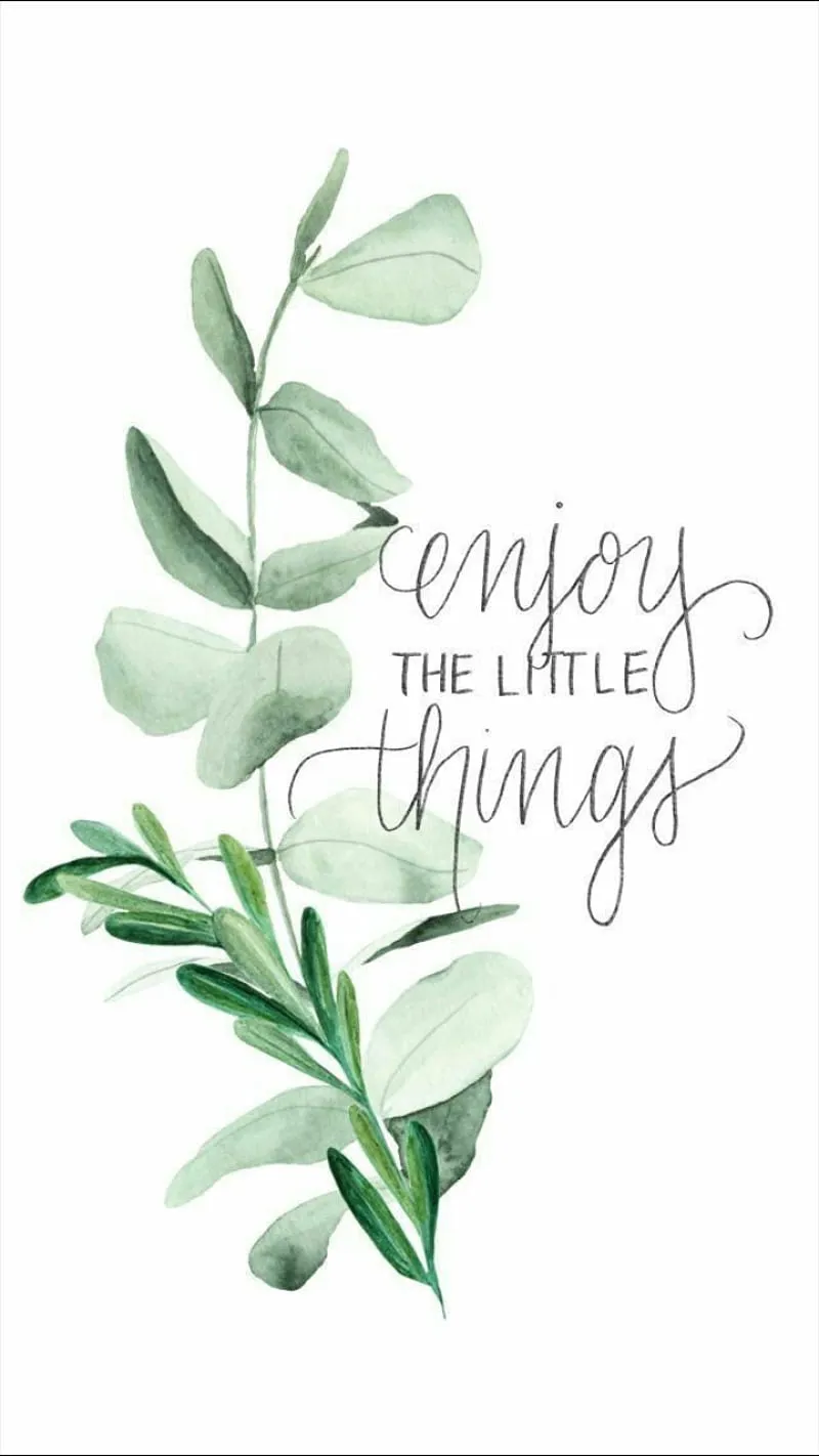 Quote, aesthetic, HD phone wallpaper