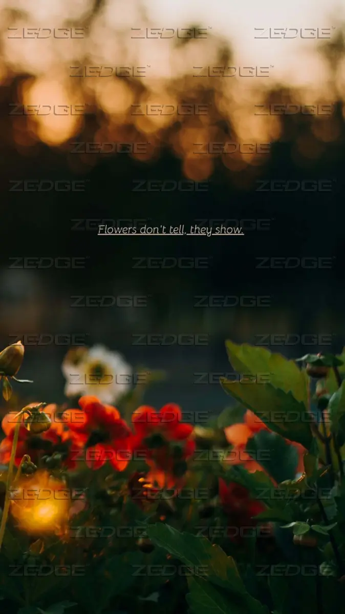 Aesthetic Flower Motivational Quote Phone Wallpaper wallpaper