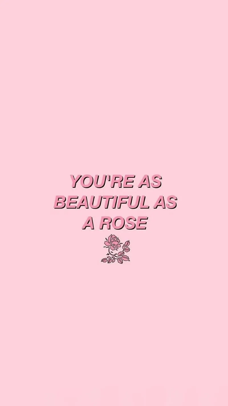 Aesthetic Quotes, Rose, pink background, HD phone wallpaper