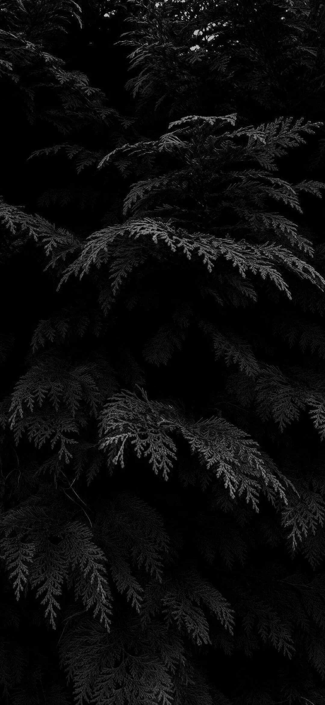 Black Phone Wallpaper HD