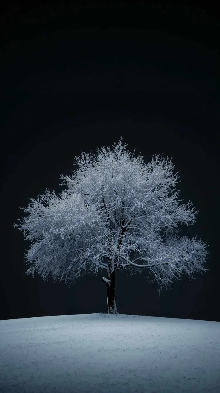 Free Black Winter Wallpaper (Dramatic and Modern)