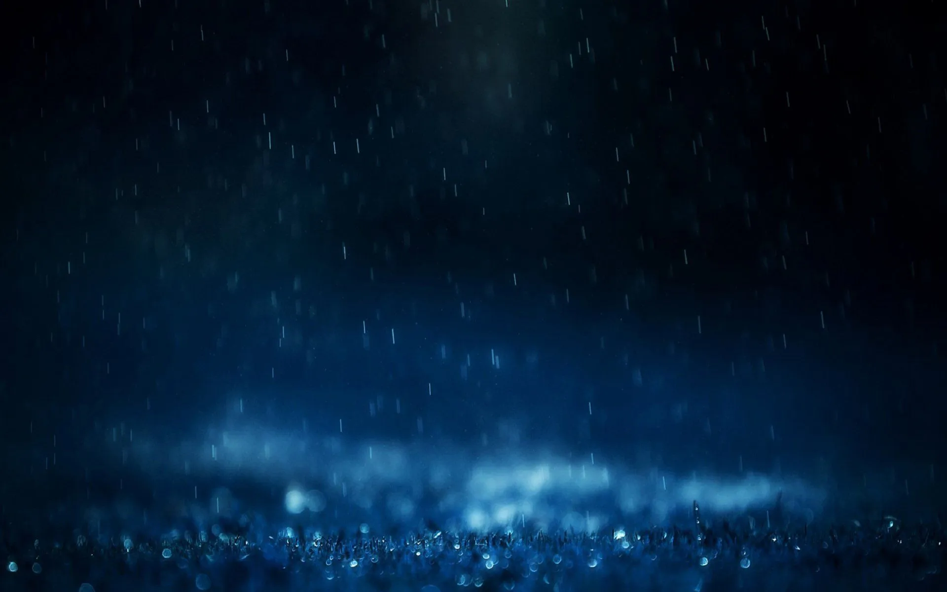 Night Rain HD Wallpaperx1600