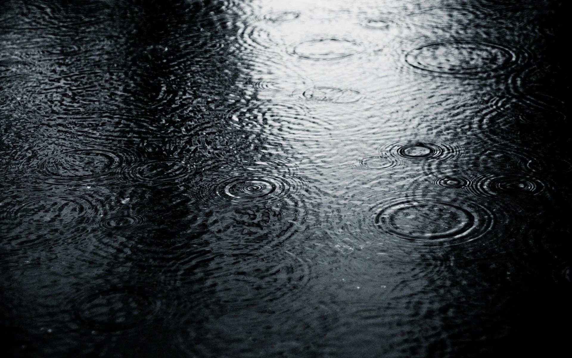 Raindrops Creating Ripples On A Dark Surface HD Wallpaper