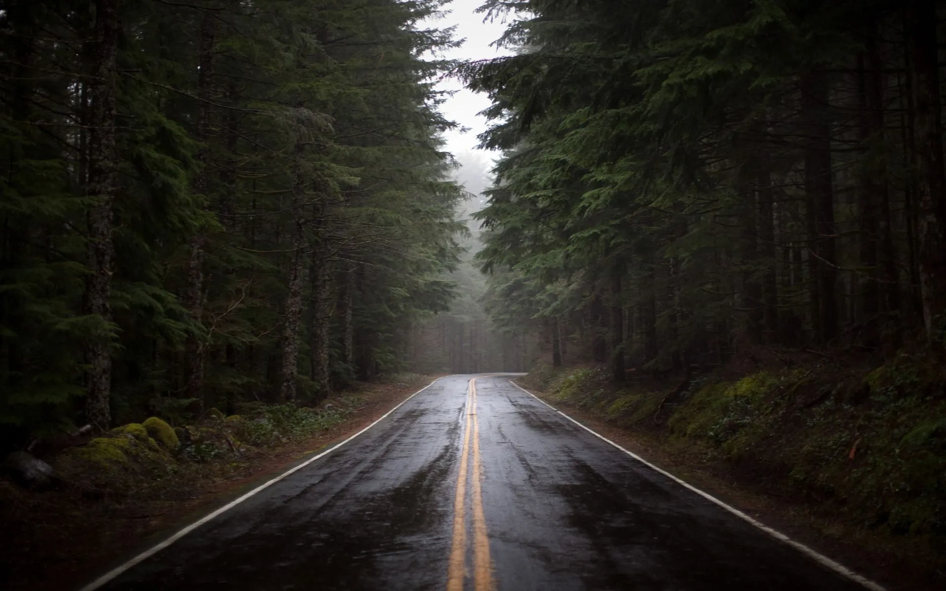 Road after a rain Desktop wallpaper 1600x900