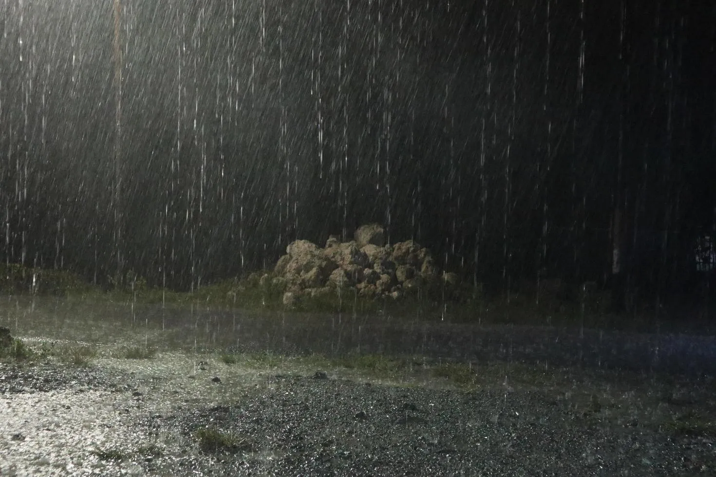 rain at night. Dark background shot of rain falling