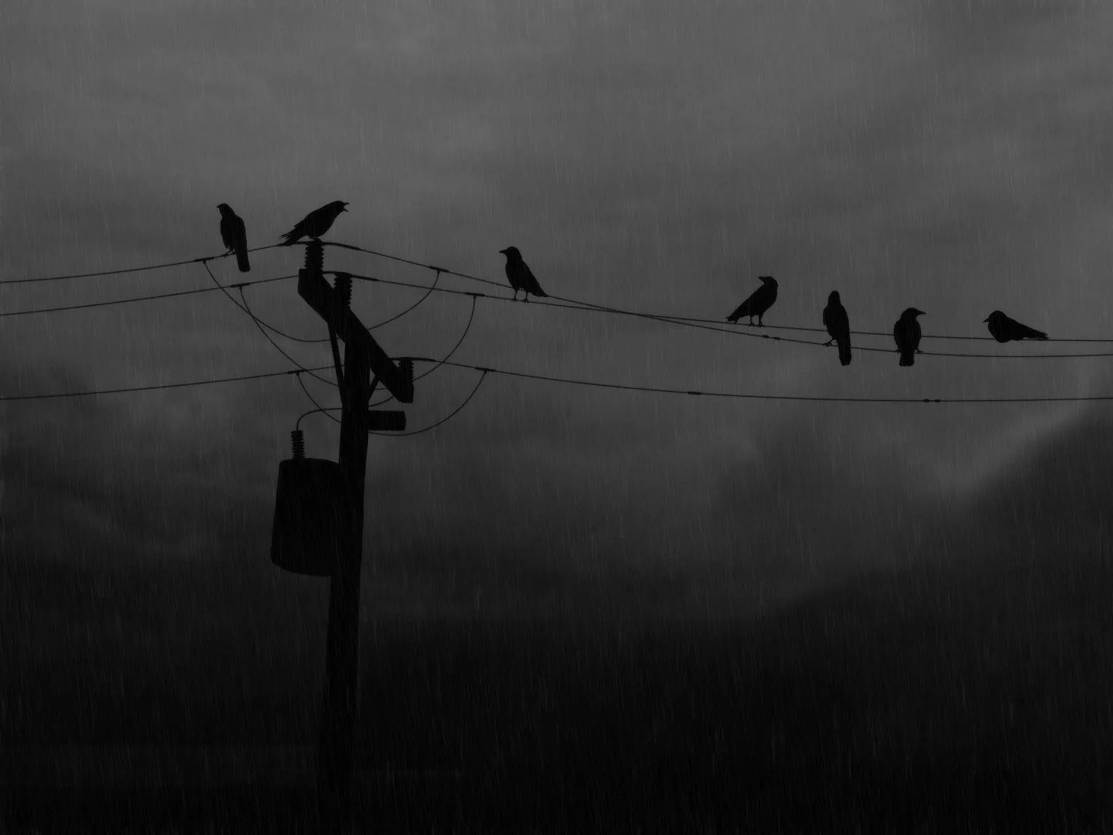 Dark Rain Wallpaper