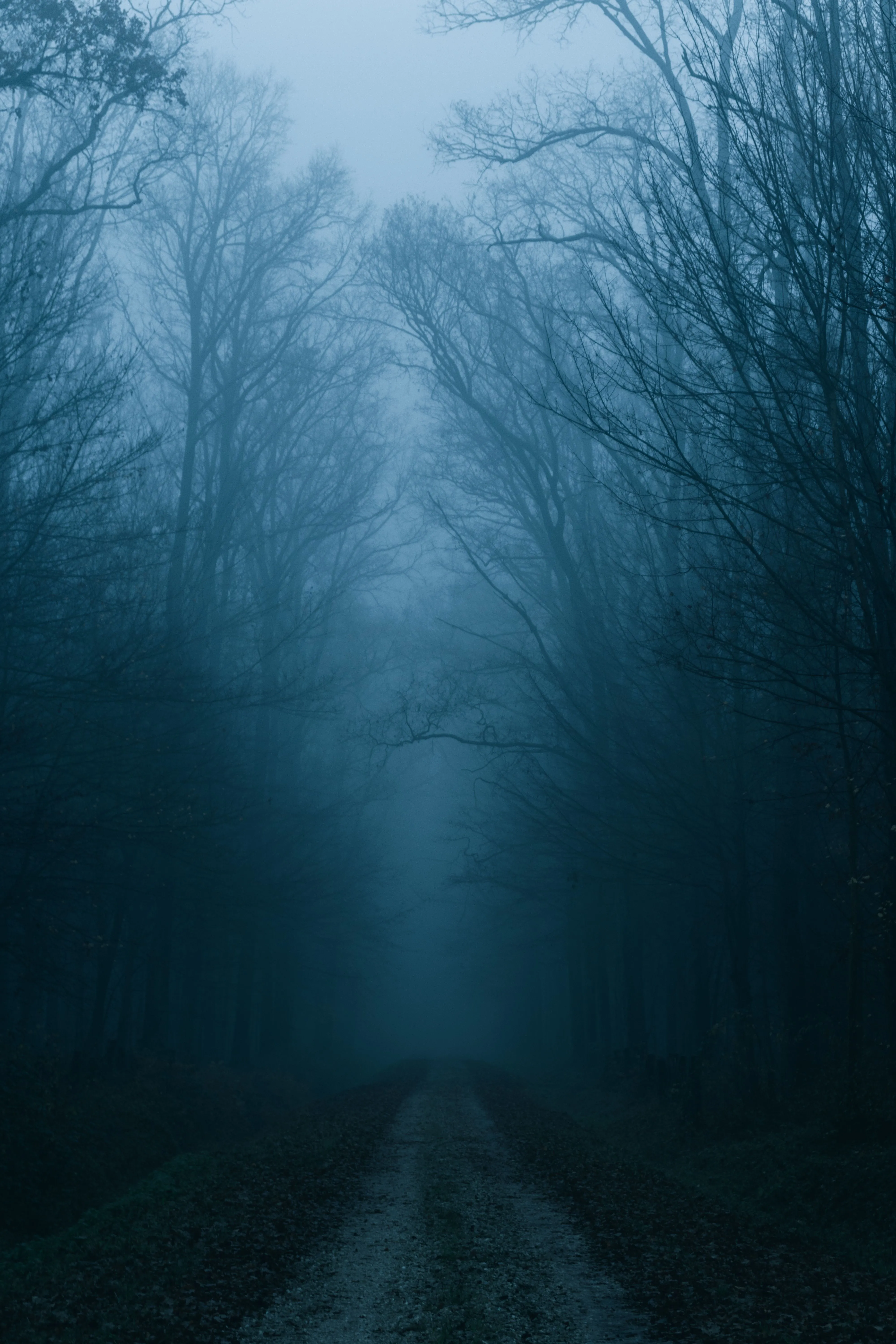 Wallpaper Fog, Cloud, Nature, Natural Landscape, Mist, Background Free Image