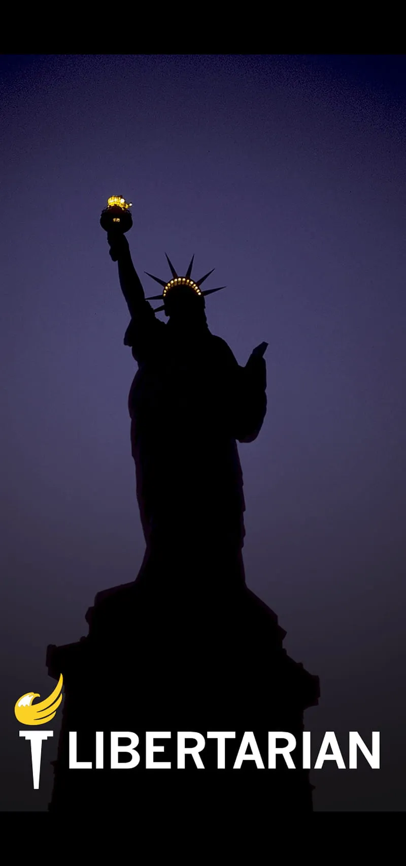 Lady Libertarian, democrat, liberty, political, politics, republican, united states, HD phone wallpaper