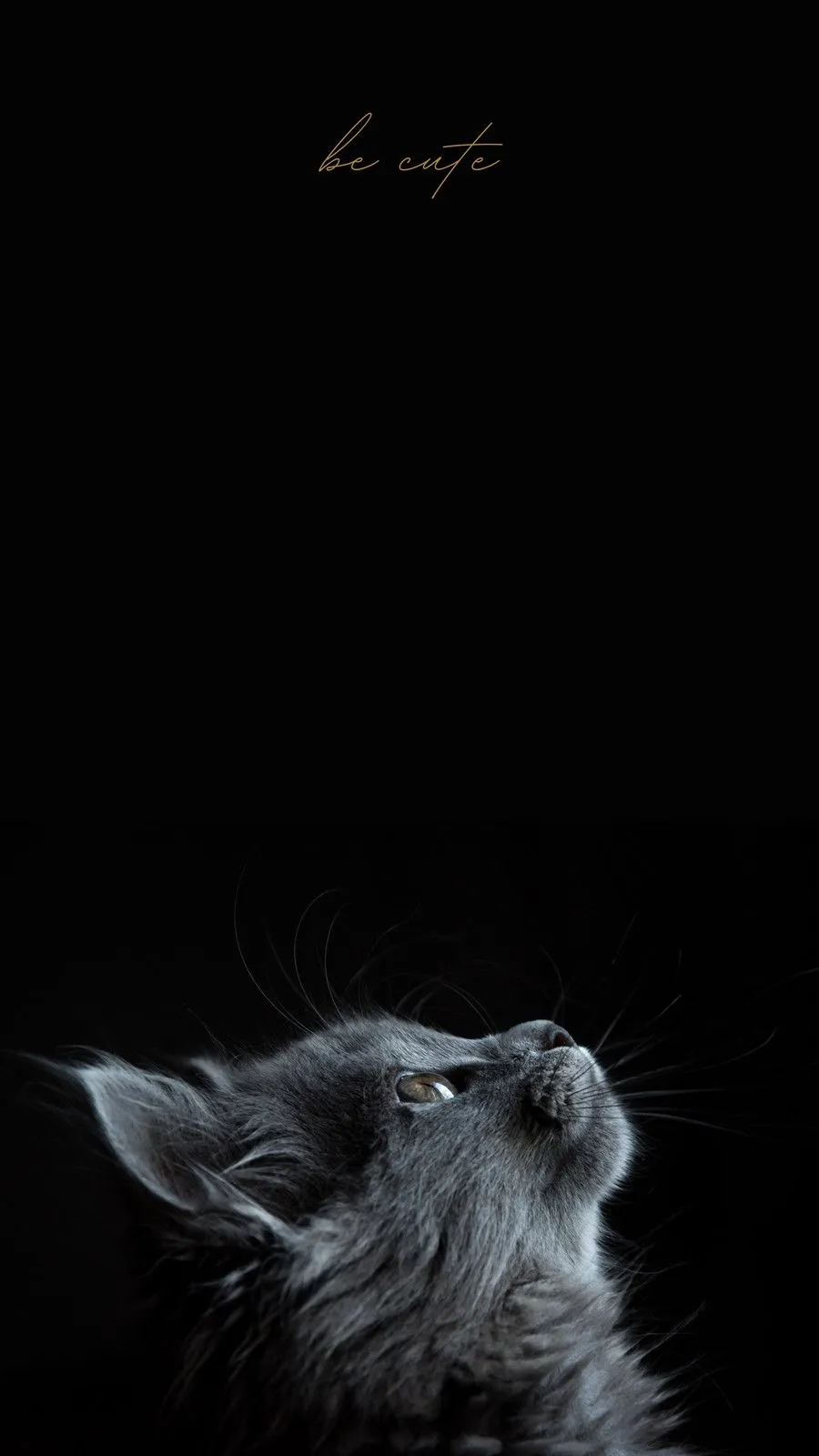 black wallpaper