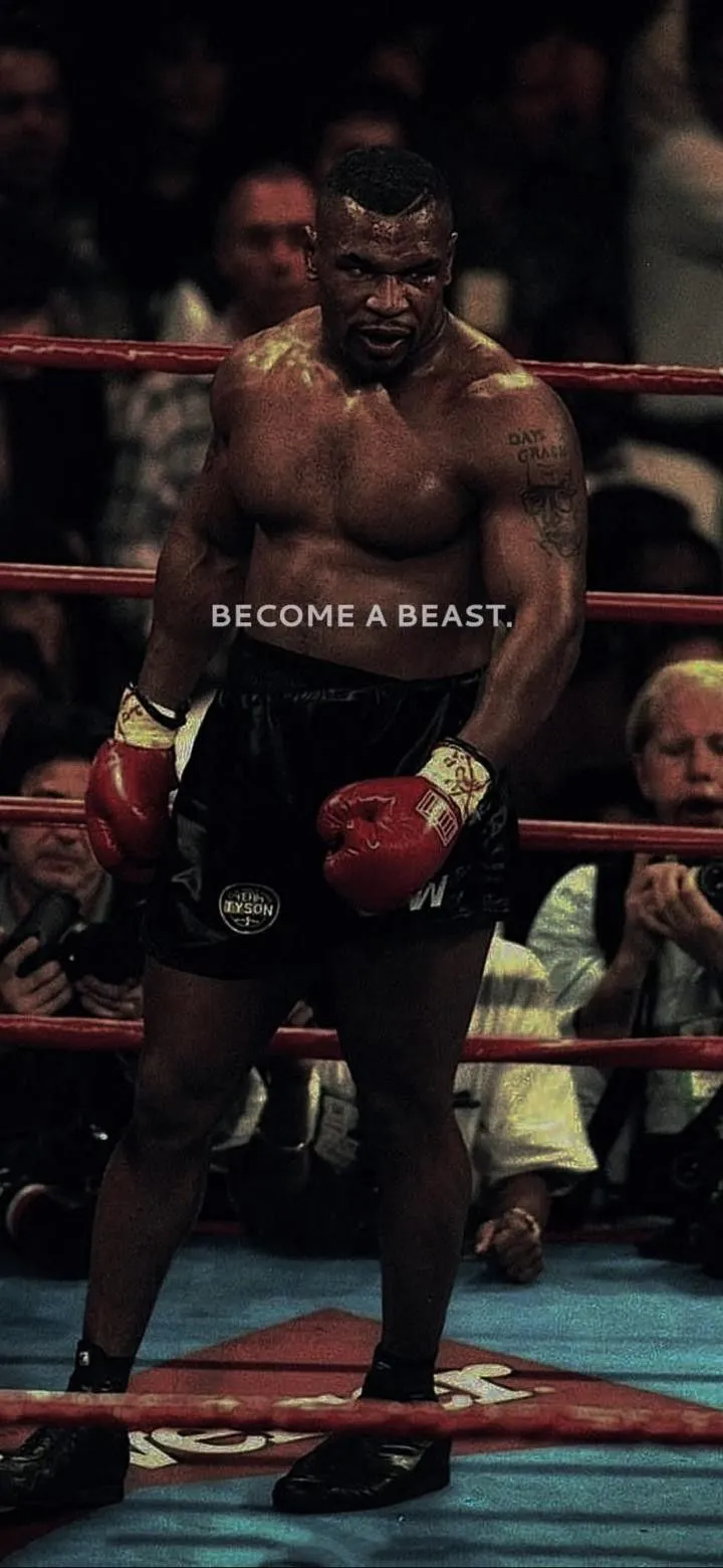 Box HD wallpaper. Boxing quotes, Boxing image, Ufc
