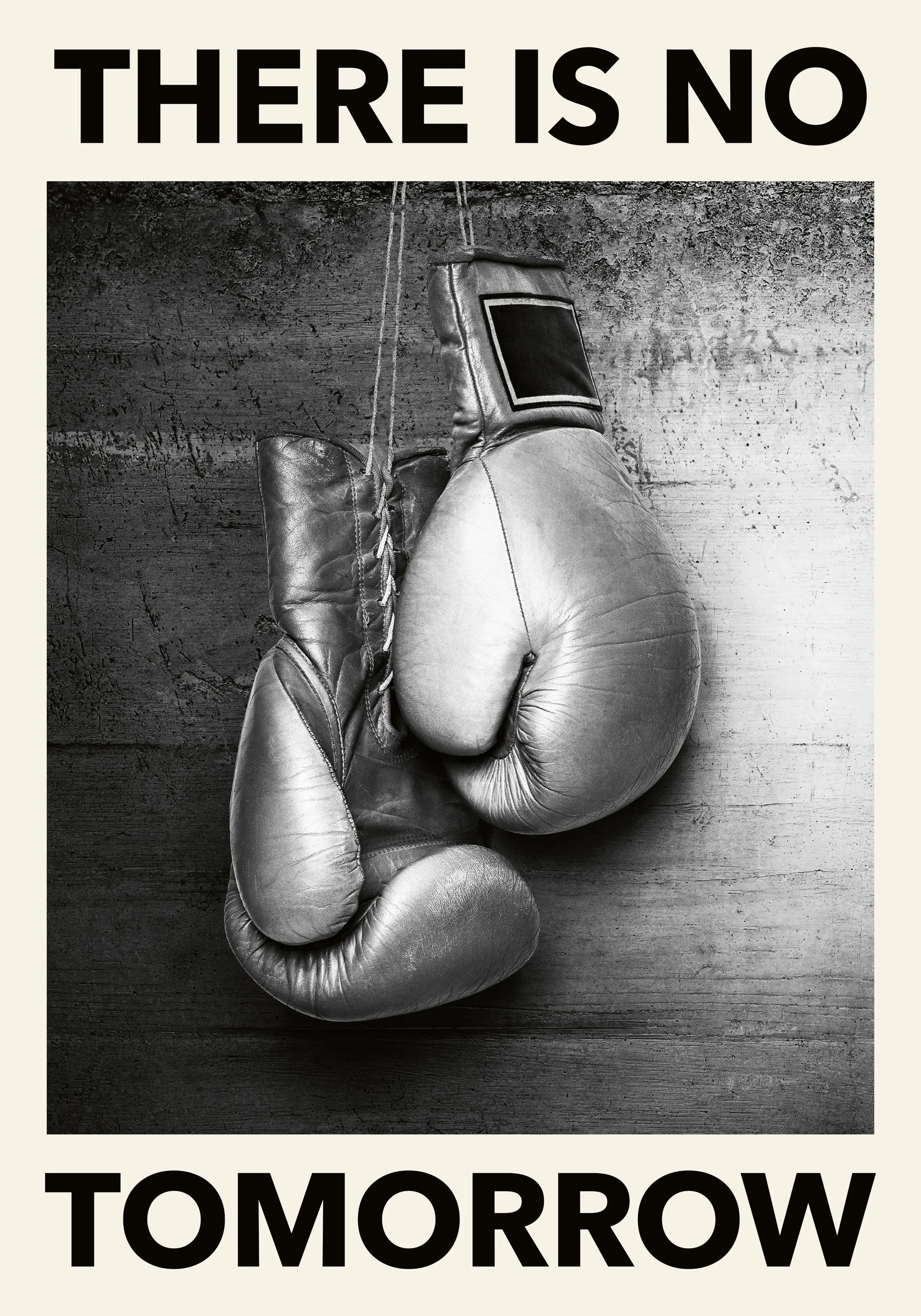 Boxing Gloves Poster