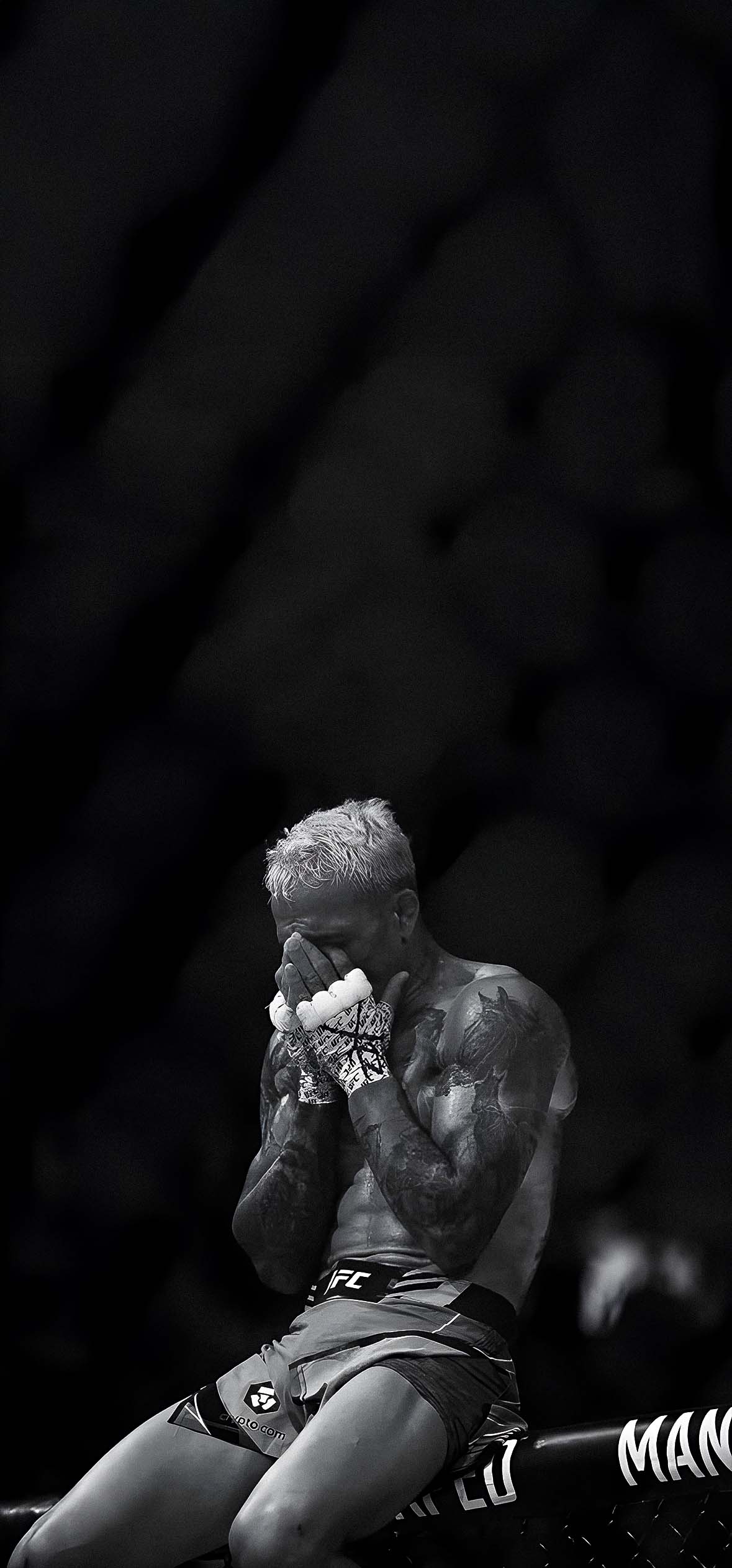 Boxing phone wallpaper