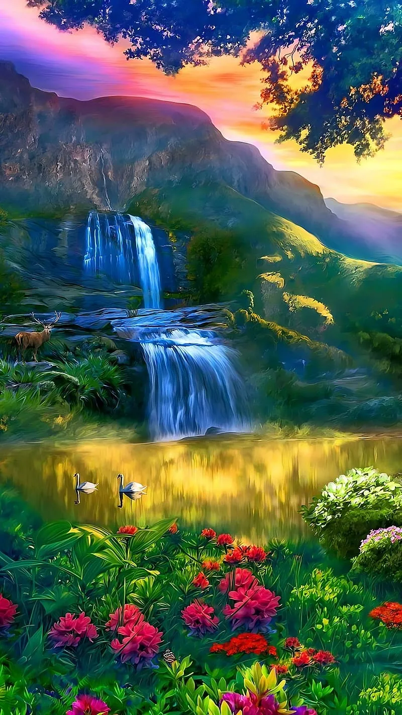 Best Attractive, nature, HD phone wallpaper