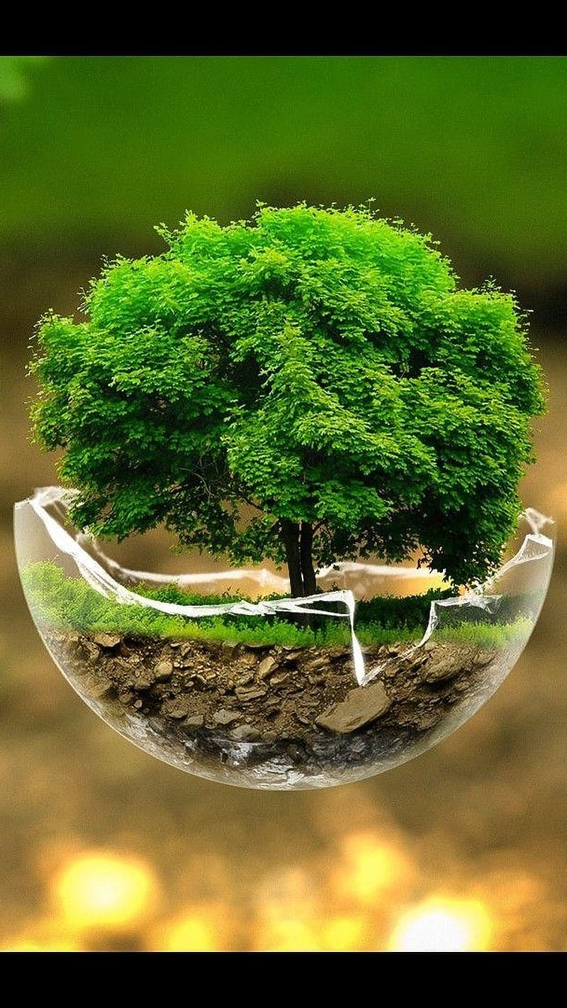 Attractive Mobile, environmental, HD phone wallpaper