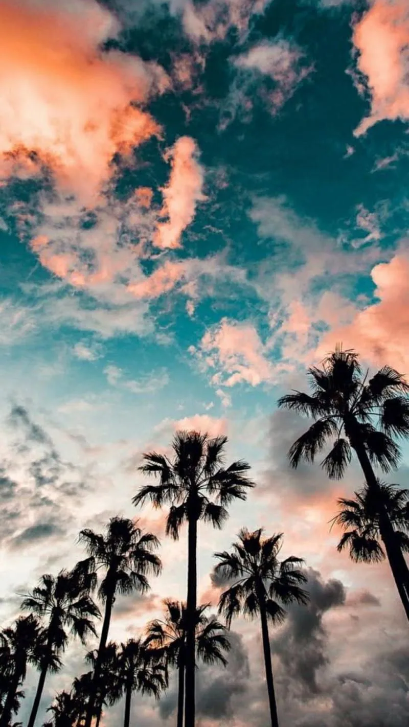 Look deep into nature and then you will understand everything better. // Wi. Beautiful summer, HD phone wallpaper