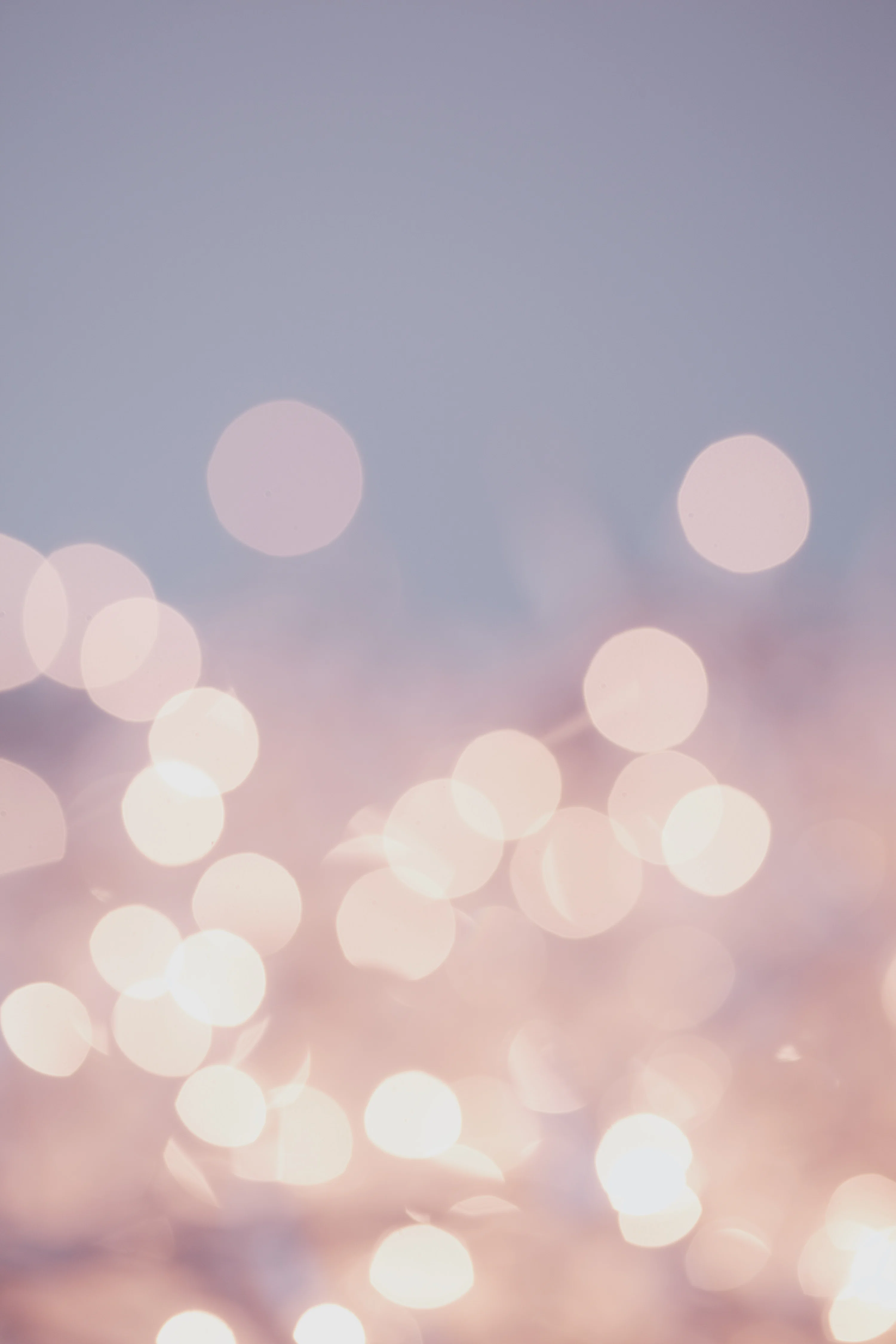Bright Picture. Download Free Image