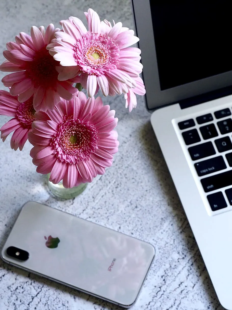 Apple, Flowers, Iphone, Smartphone, Bloom, Blooming, Bright, Close Up