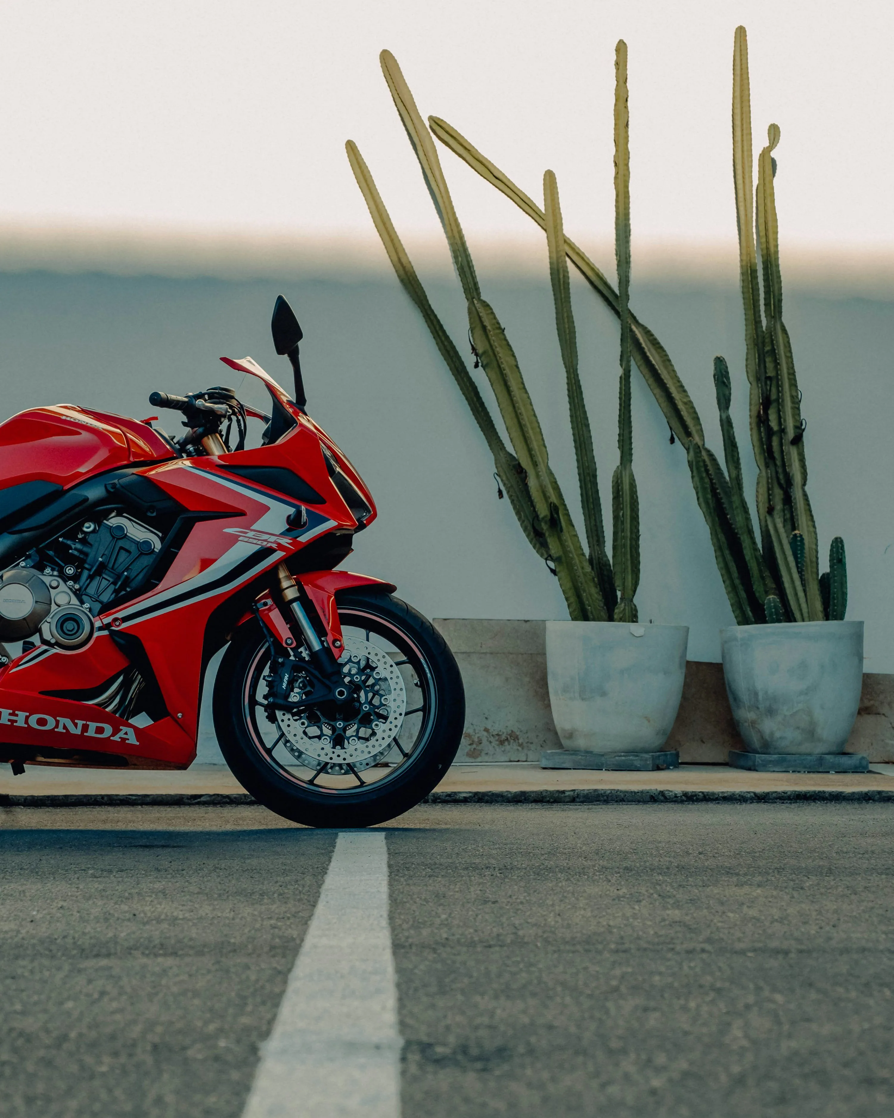 Red and black sports bike parked on gray concrete road photo