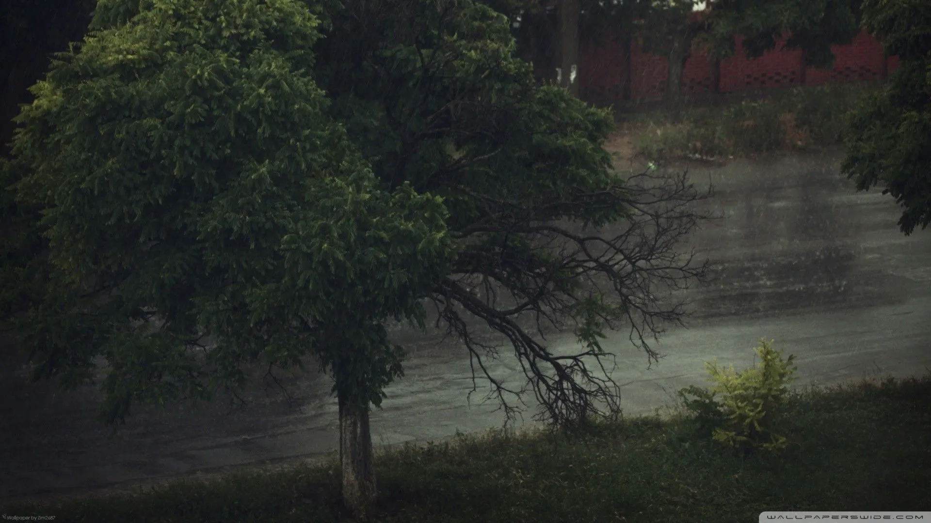 Rainy Wallpaper