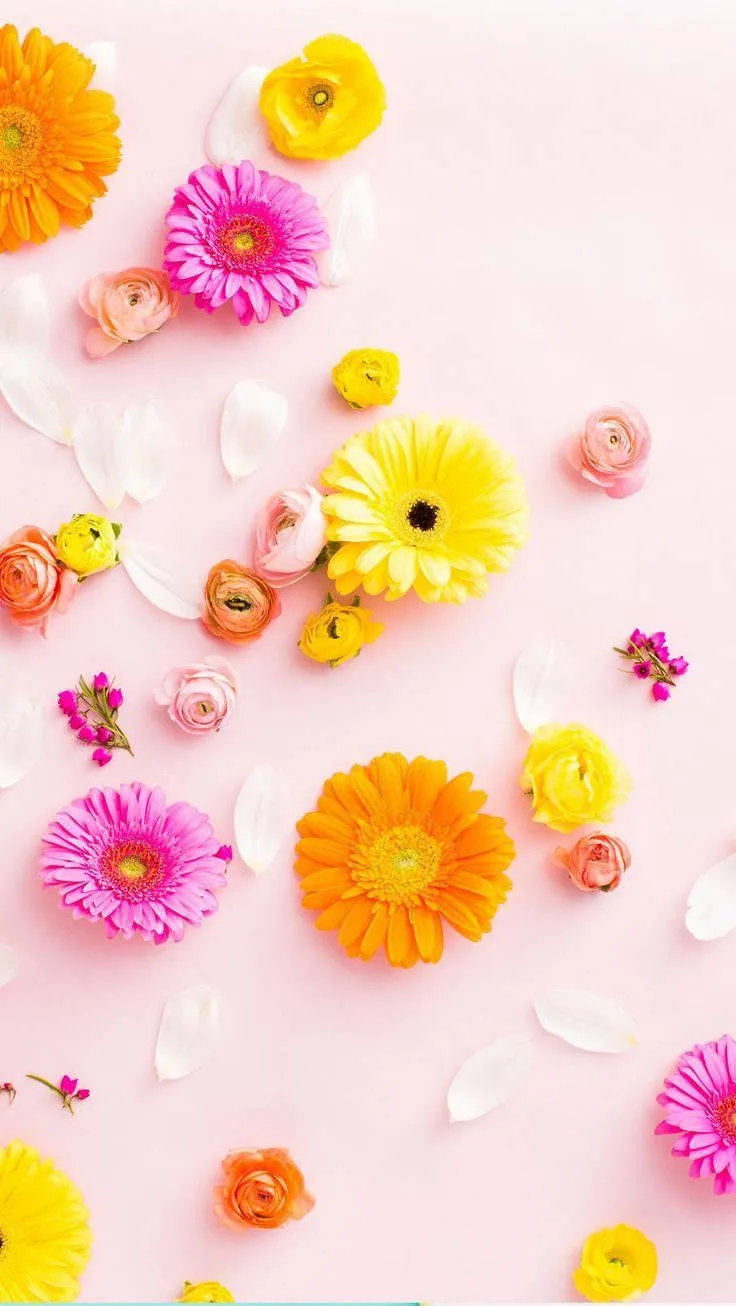 Download Contrasting Colourful Floral iPhone Wallpaper
