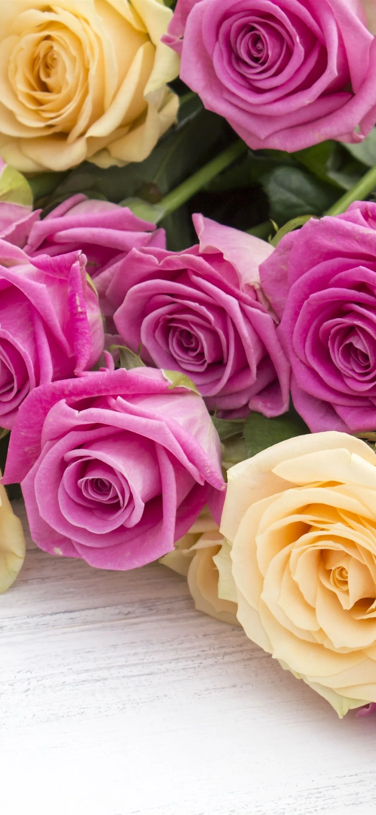 Pink And Yellow Roses, Flowers, Wood Board 1206x2622 IPhone 16 17 Pro Wallpaper, Background, Picture, Image