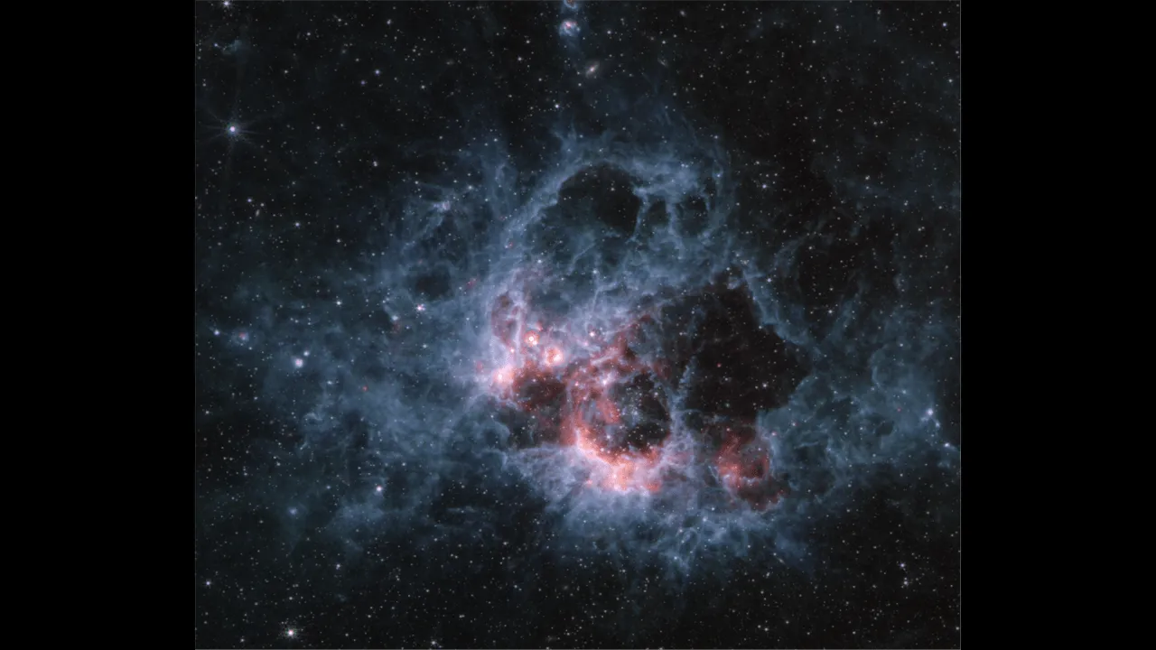 From The NASA ESA CSA James Webb Space Based Infrared Astronomy Telescope: “Peering Into The Tendrils Of NGC 604 With Webb”