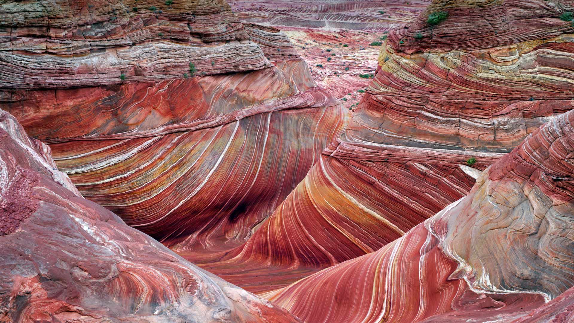 The Wave at Coyote Buttes wallpaper