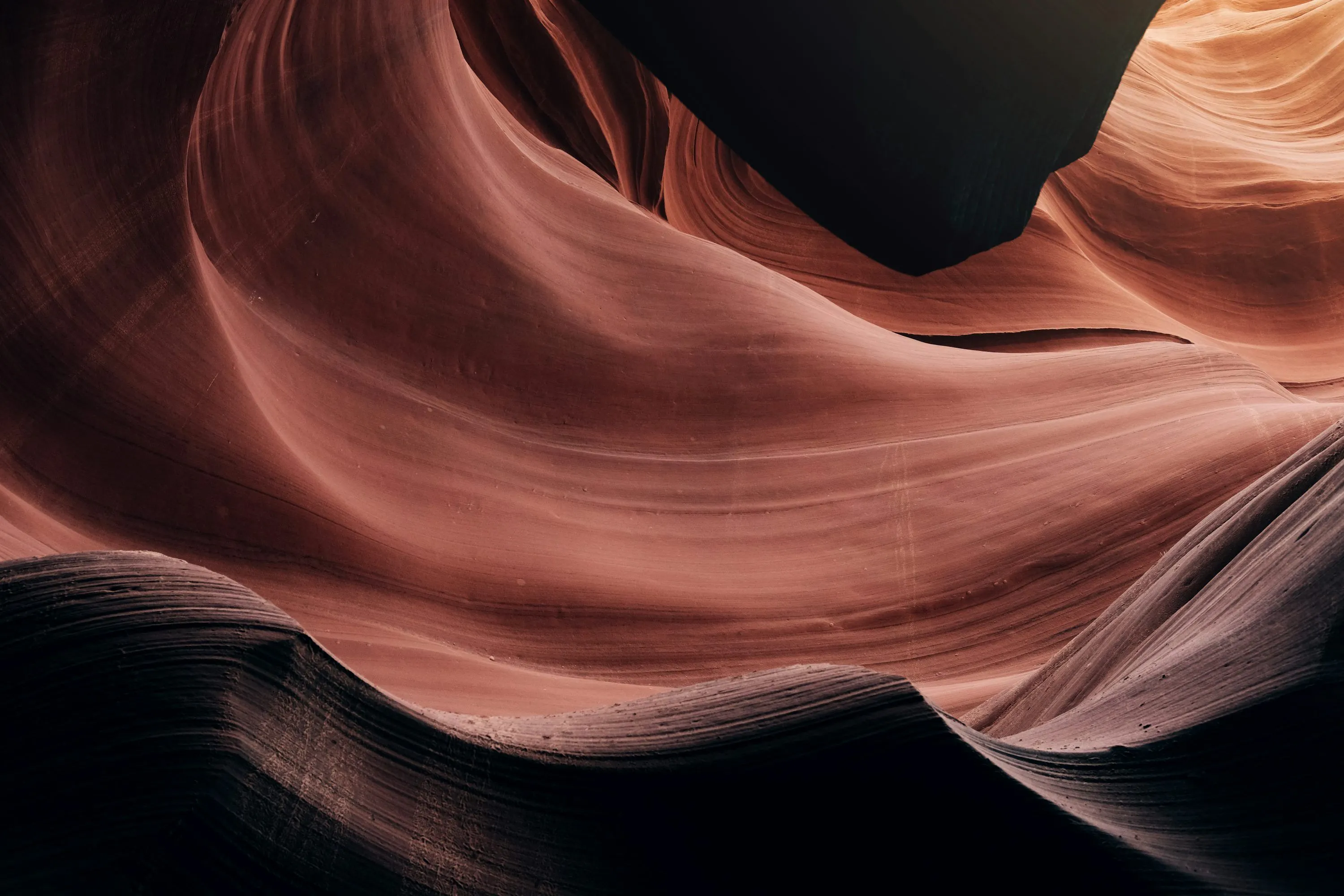 The Wave, Arizona photo