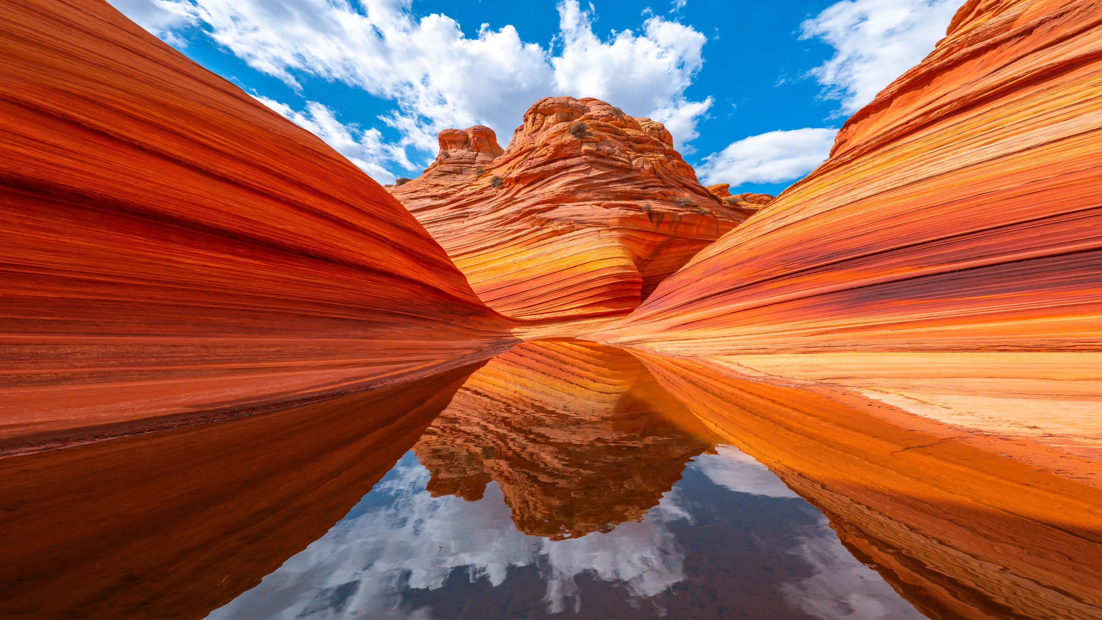 The Wave Wallpaper 4K, Arizona, Sandstone plateau