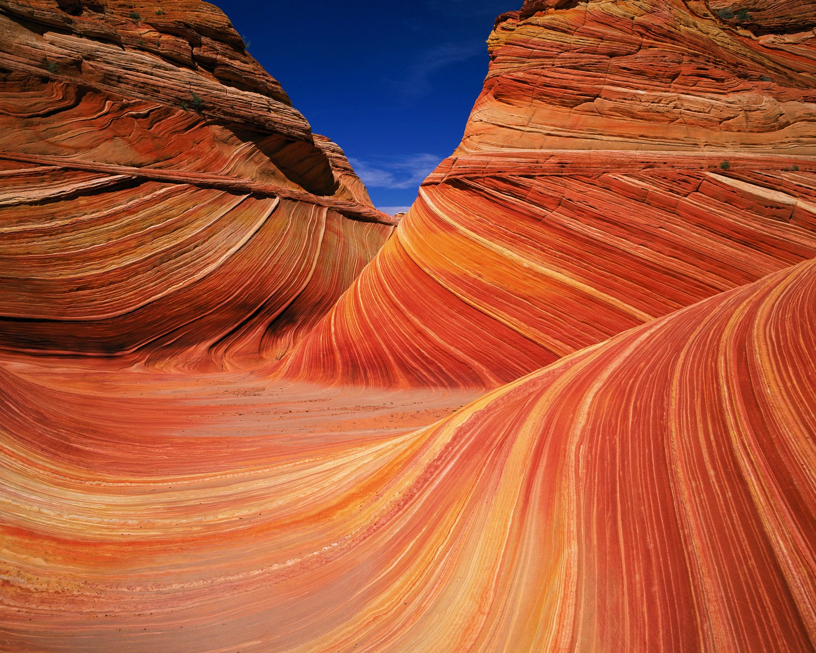 The Wave, Paria Wilderness Wall Mural