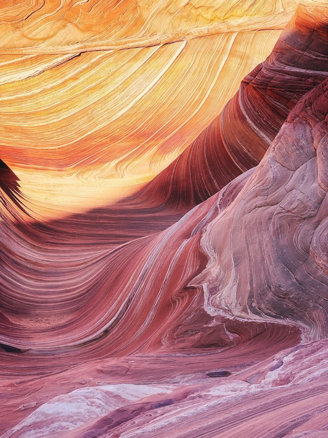 Hiking The Wave, Arizona