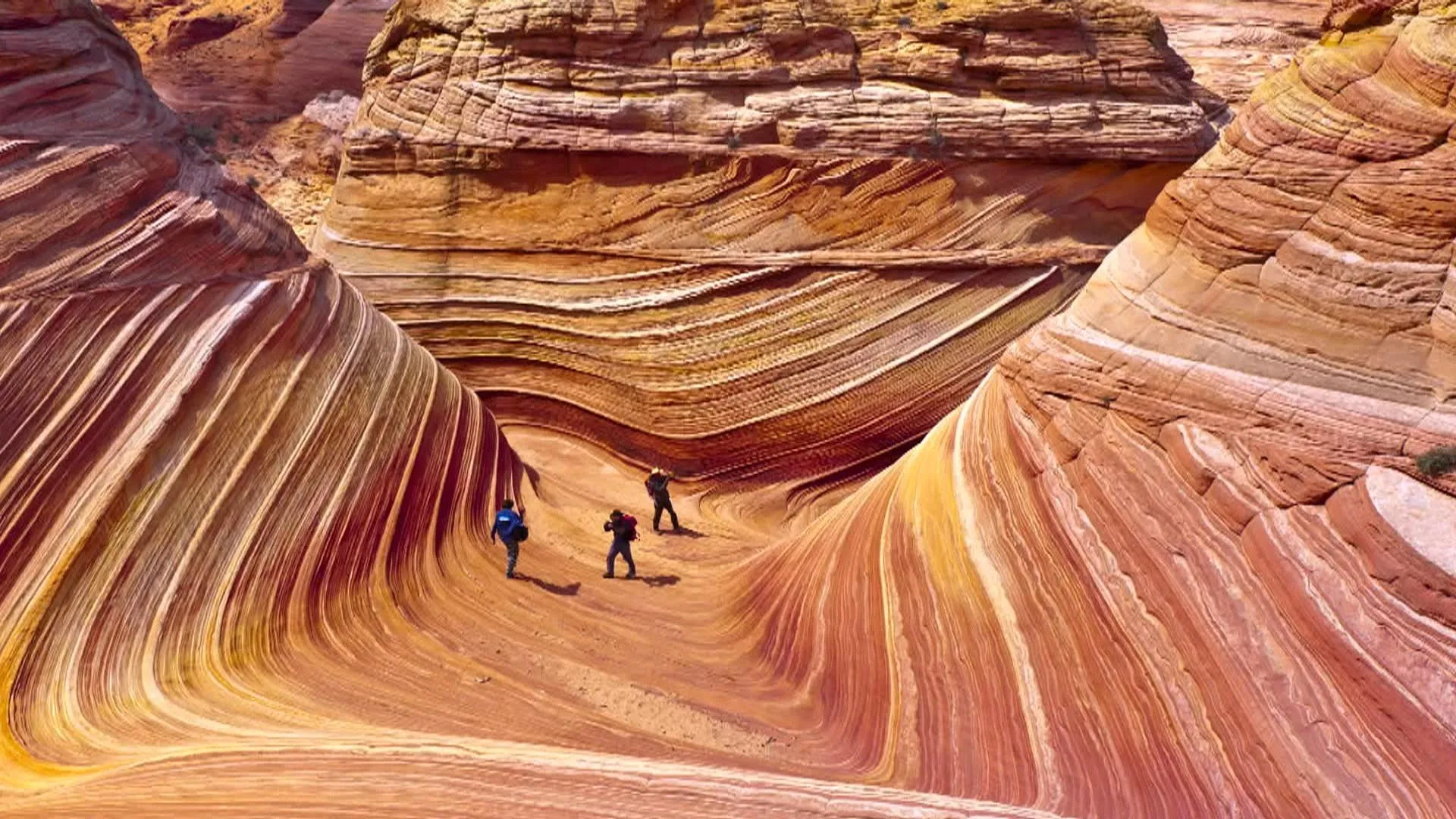 Take a closer look at ‘The Wave, ’ the hidden gem of Arizona’s desert areas
