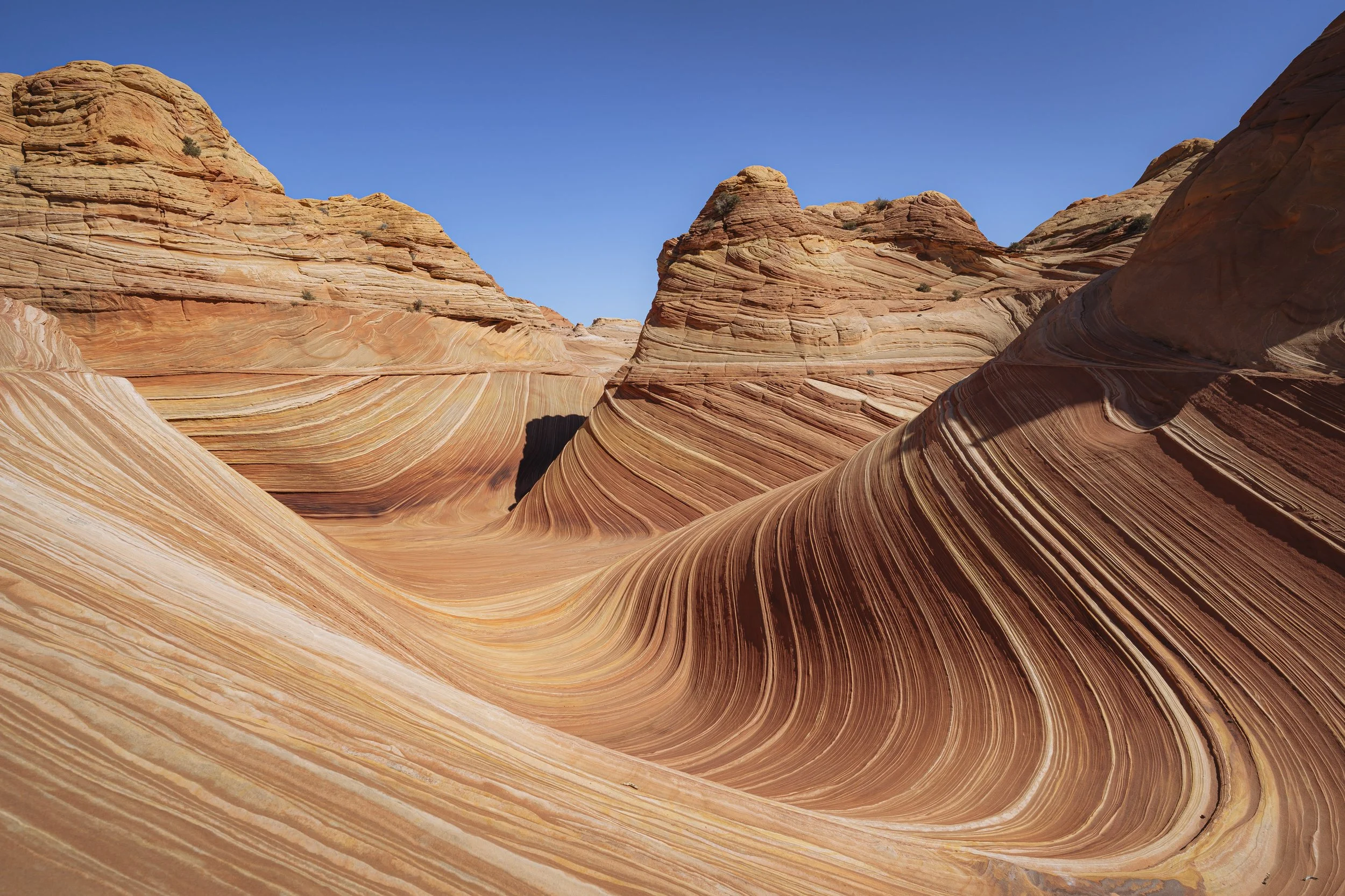 The Wave in Arizona. Landscape Photography Tips and Tricks