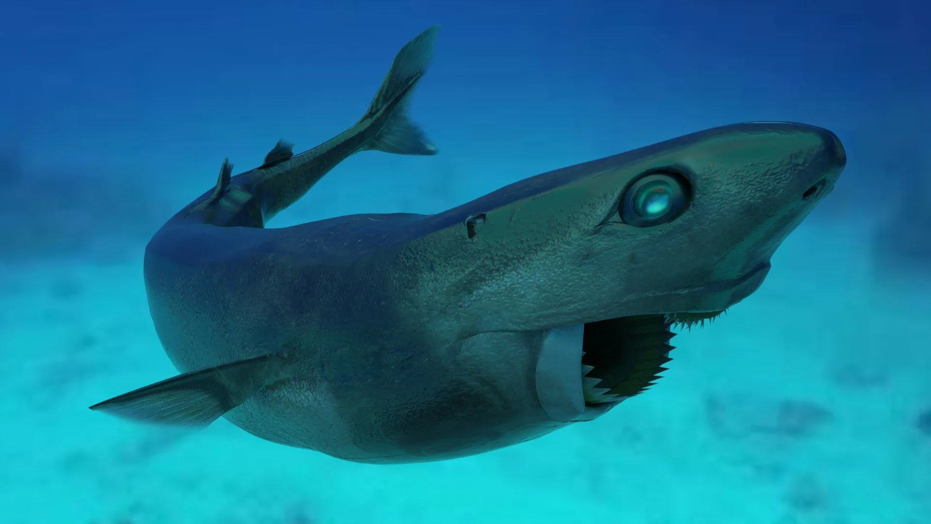Cookie Cutter Shark 3D Model