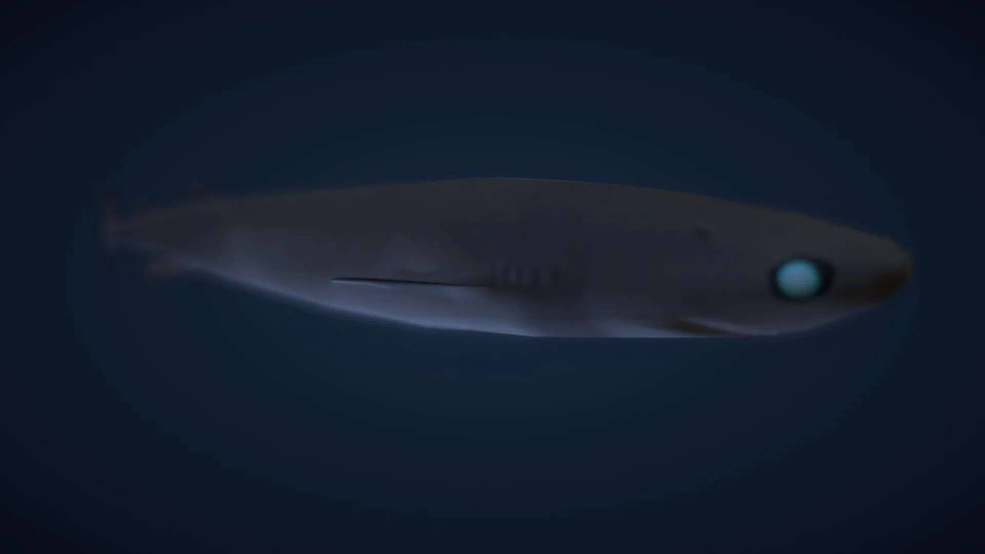 Cookiecutter Shark model by CatfishYAY [62c313a]