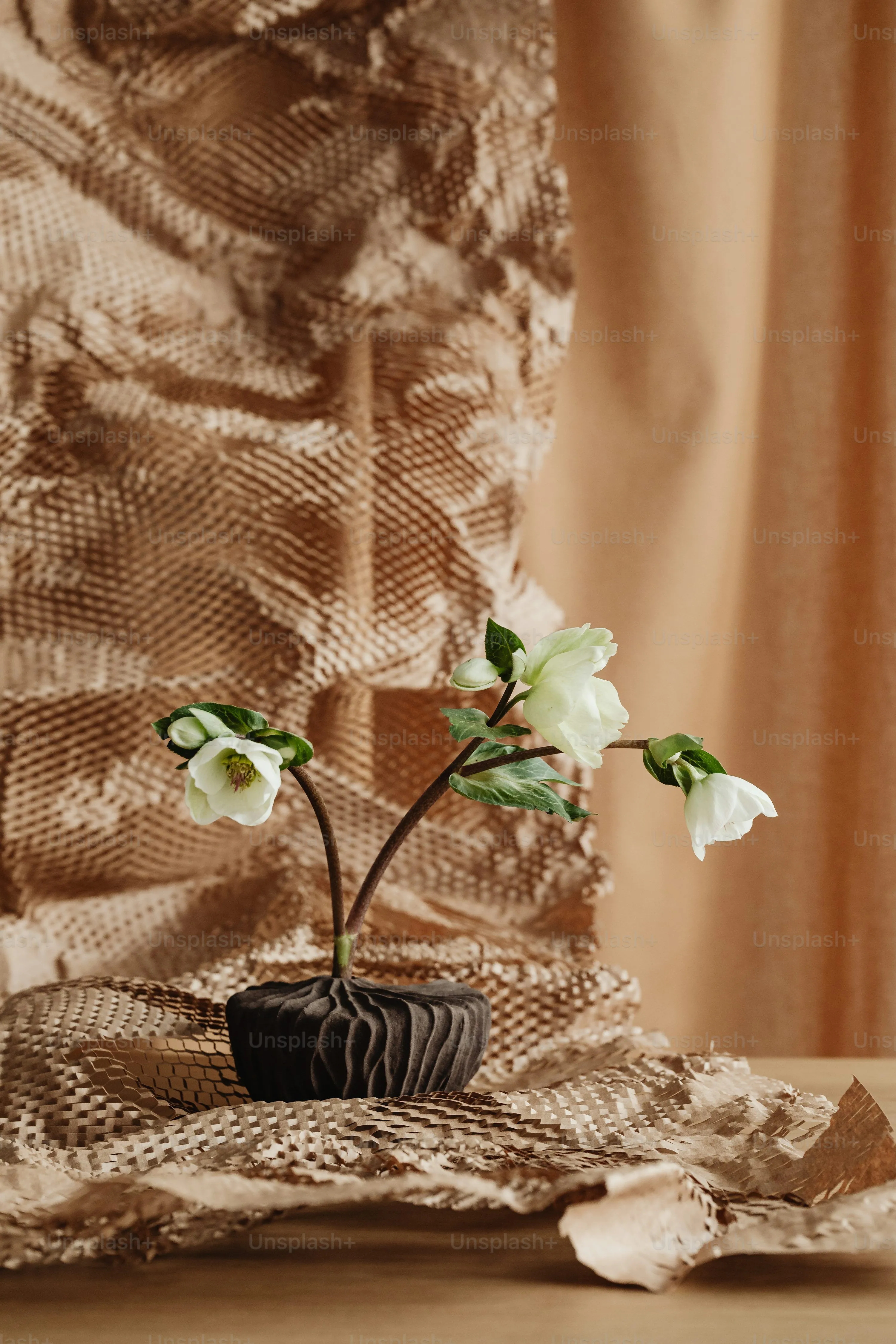 A small potted plant sitting on top of a table photo