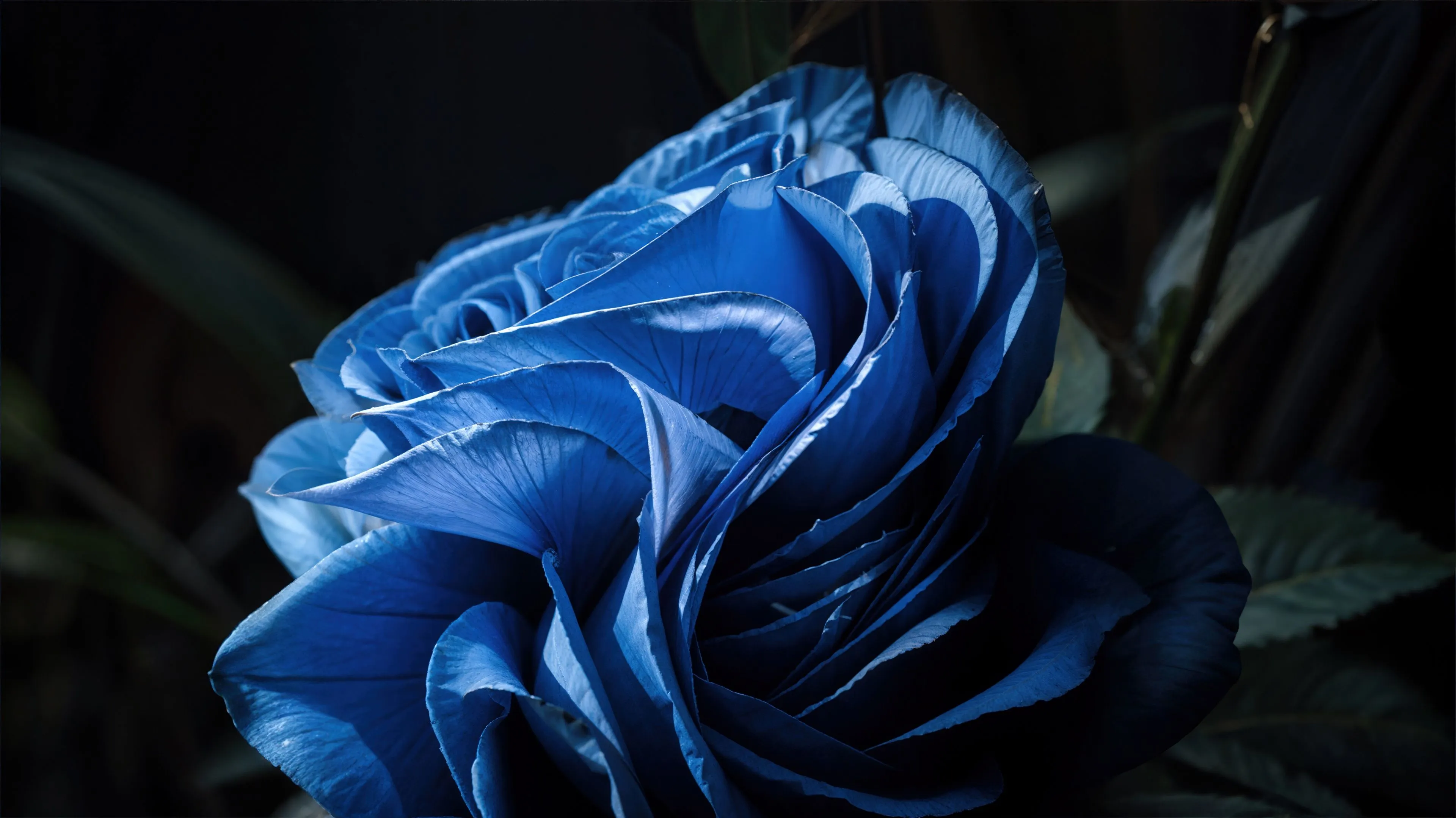 Windows 11 Bloom AI art Dark Theme 5K Wallpaper