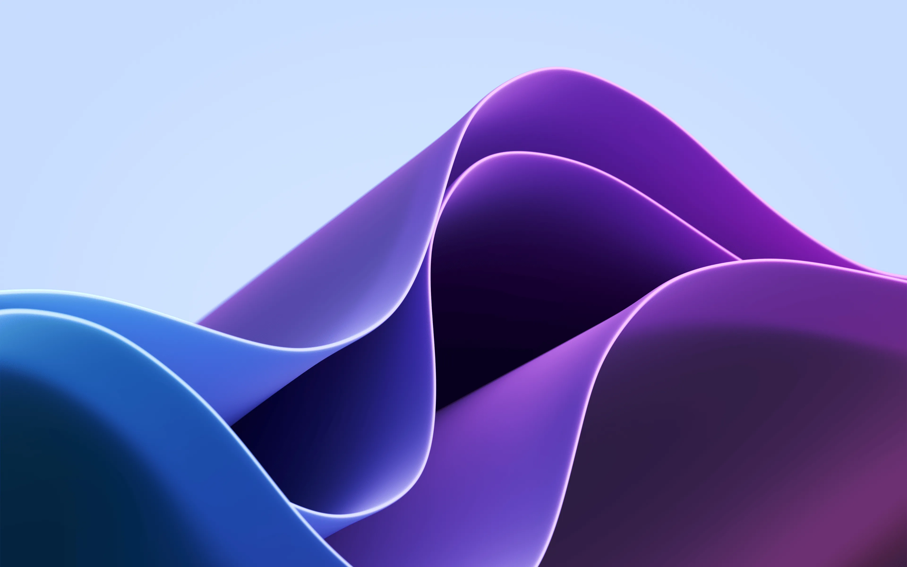 Windows 11 Wallpaper and Background