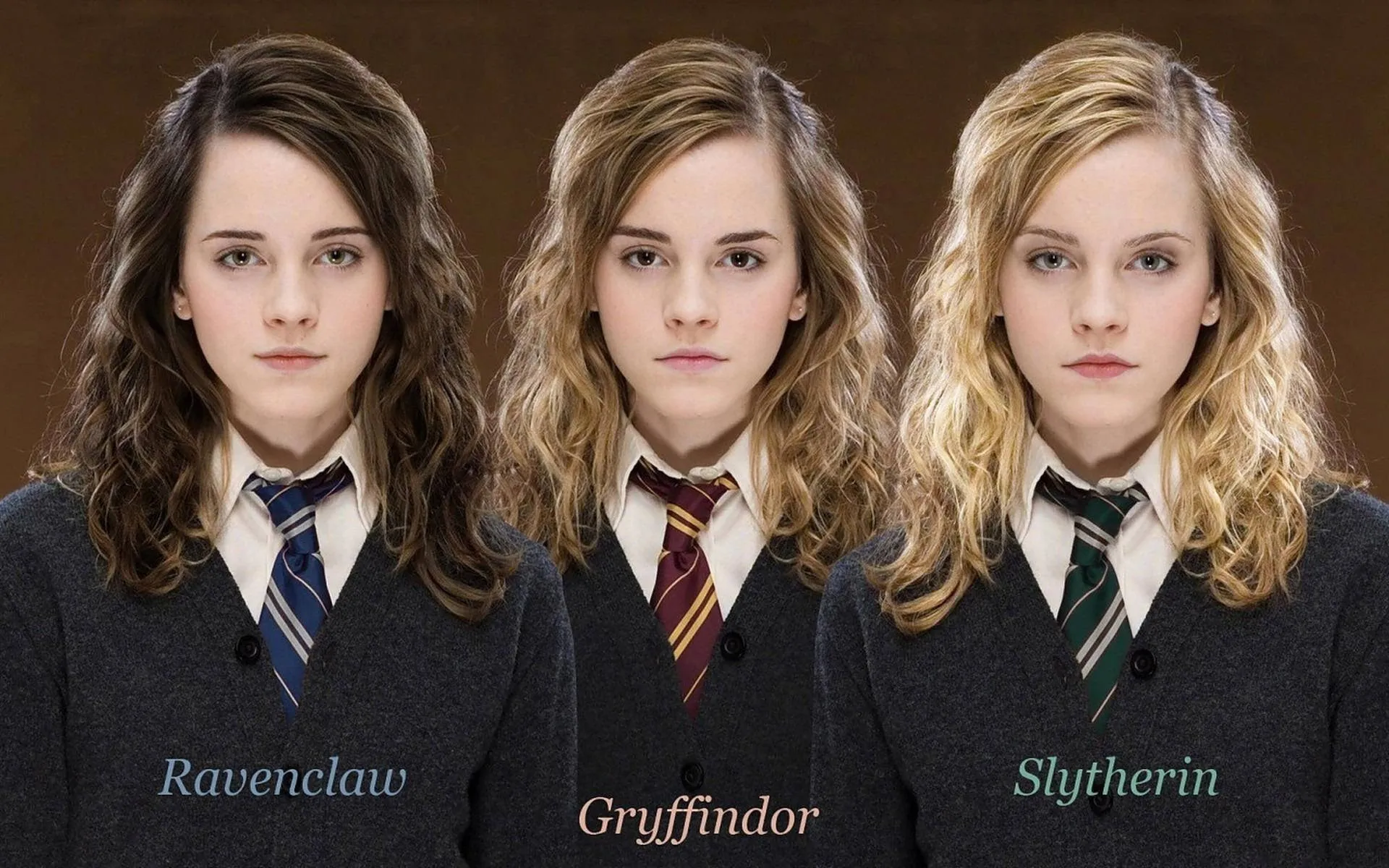 Download Different representations of Hermione Granger Wallpaper