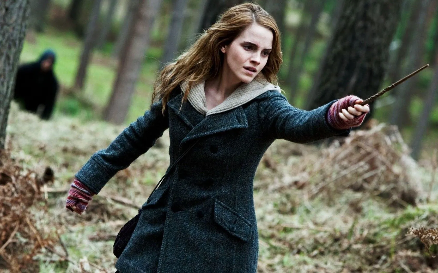 Emma Watson, Hermione Granger, Harry Potter And The Deathly Hallows Wallpaper HD / Desktop and Mobile Background