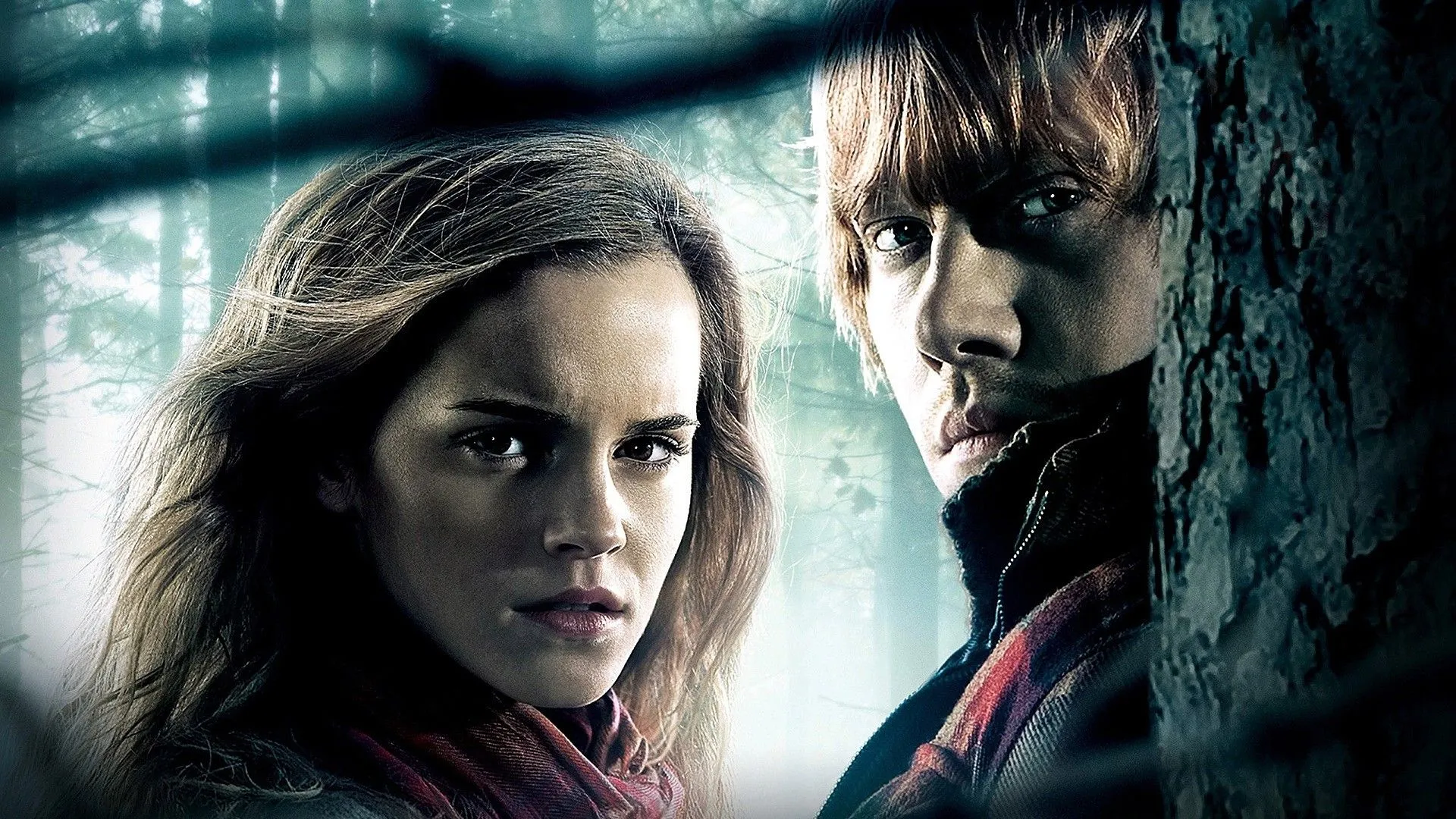 Desktop wallpaper: Harry Potter, Emma Watson, Movie, Harry Potter And The Deathly Hallows: Part 1, Hermione Granger, Ron Weasley, Rupert Grint 4K free download for PC. 374544