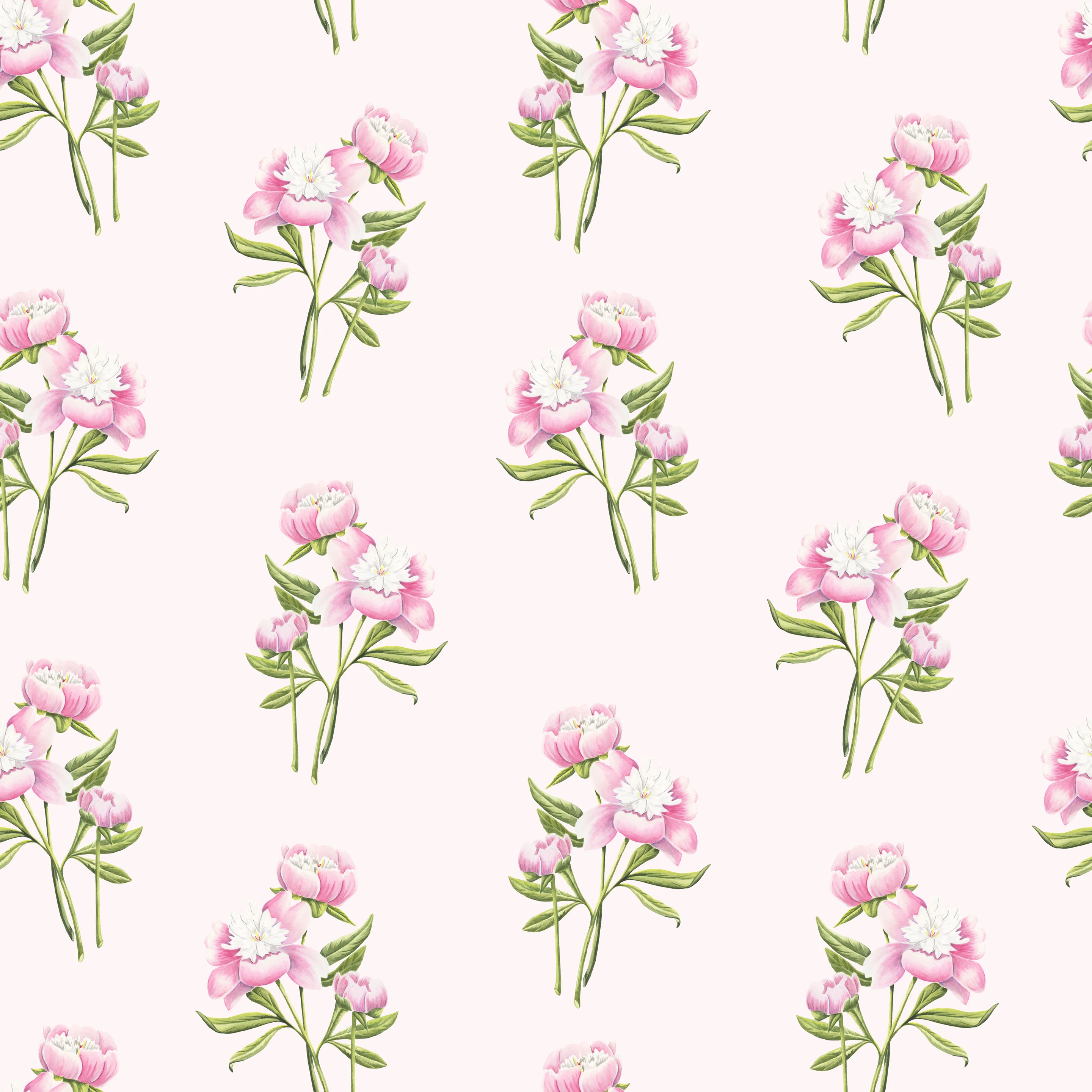 Pink Floral Wallpaper by Cara's Garden, Blush, White, Green for Home Decor