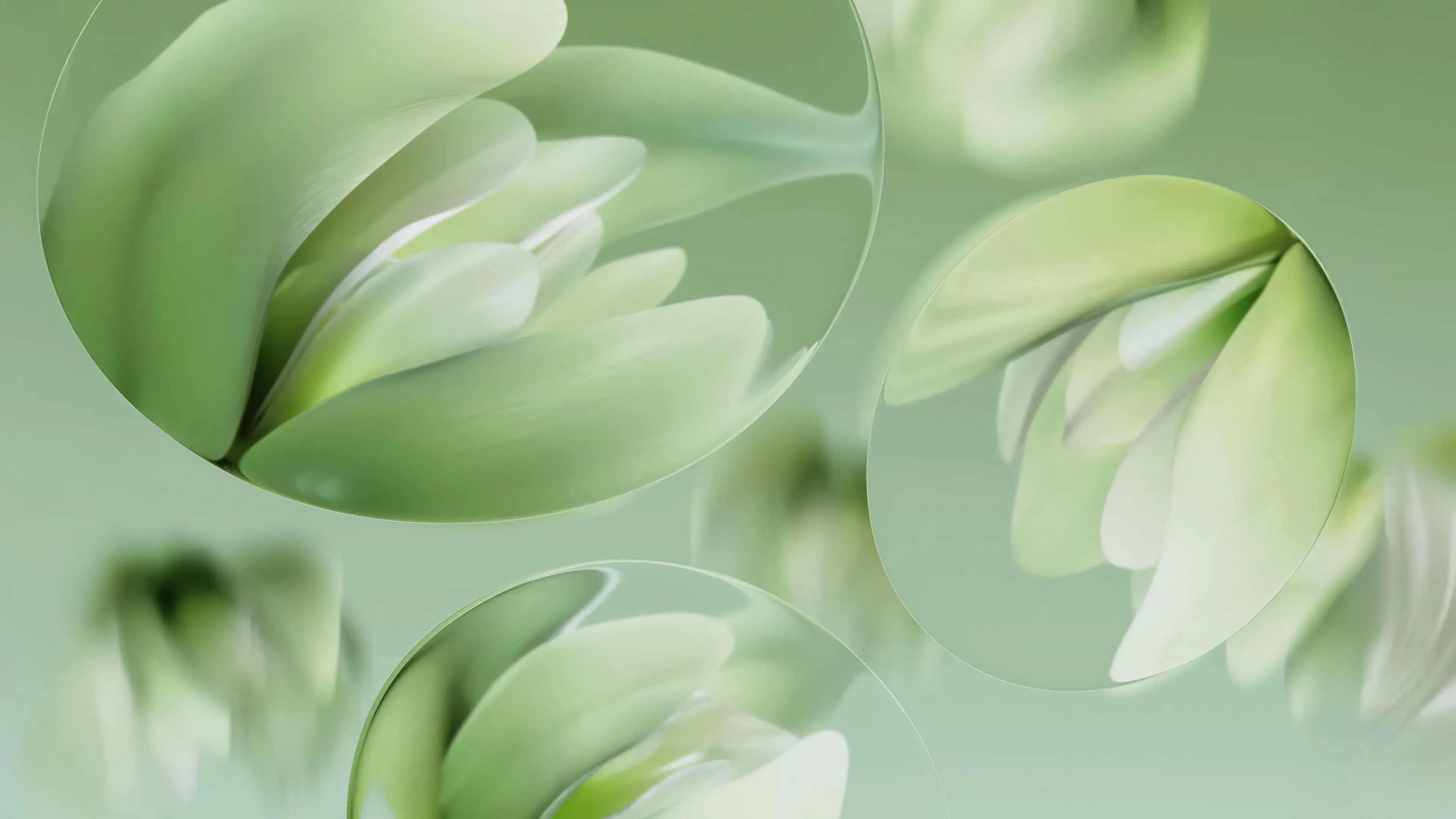 Water lilies Wallpaper 4K, Abstract art, Green aesthetic