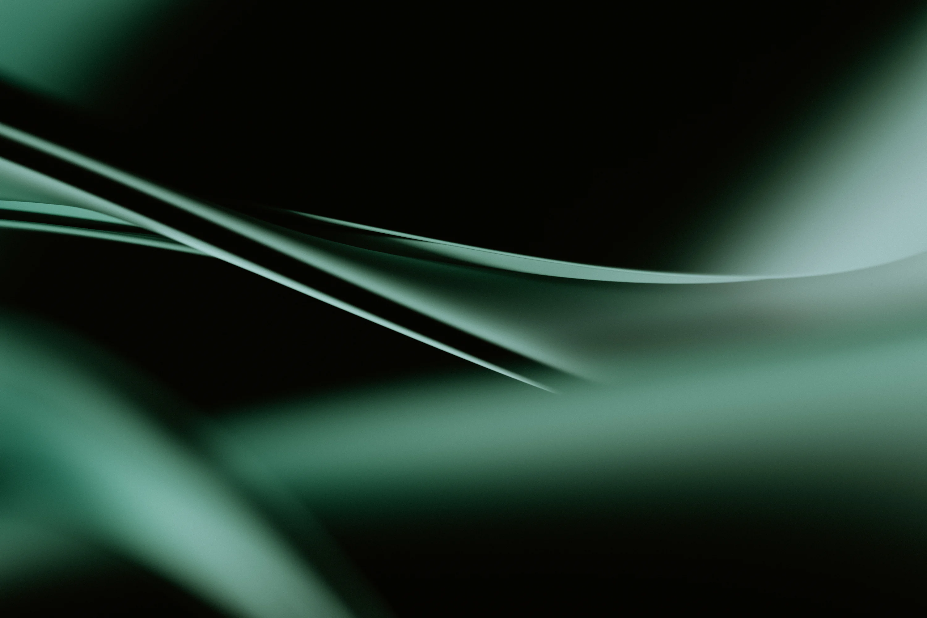 30,Dark Green Wallpaper Picture. Download Free Image